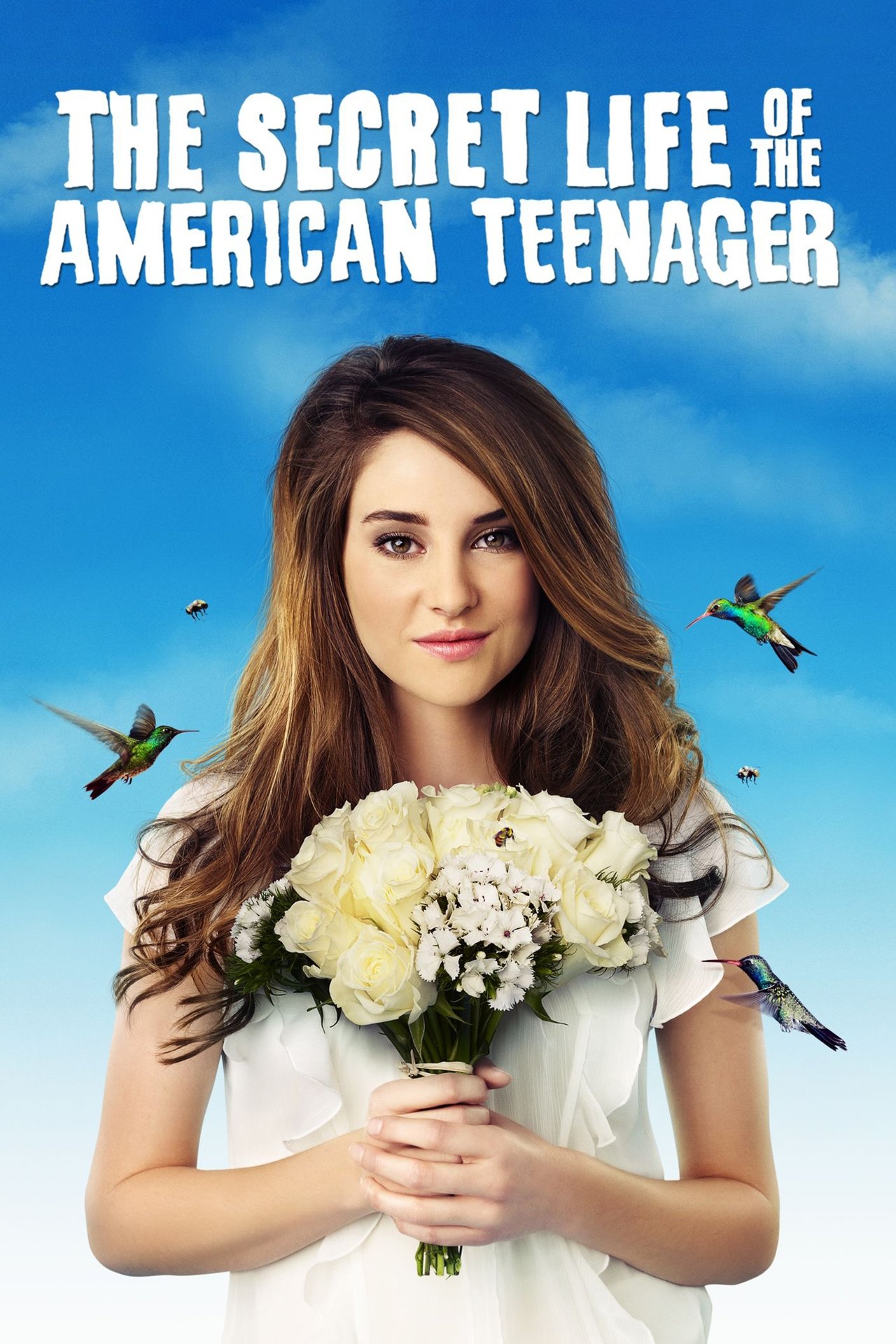 Poster The Secret Life of the American Teenager