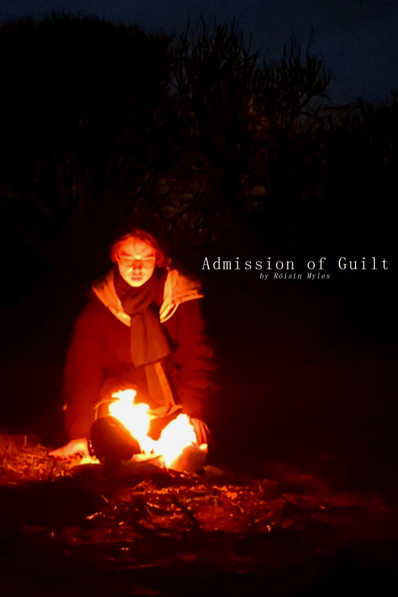 Admission of Guilt