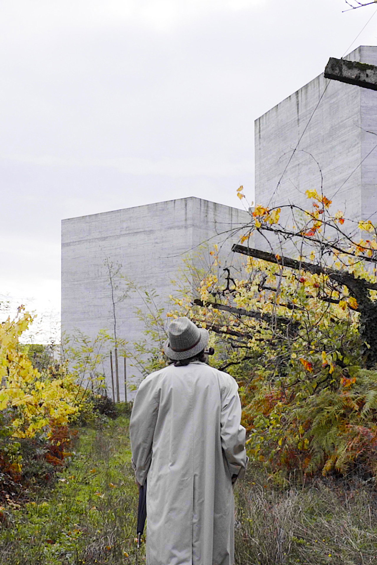 M. Hulot's Visit Backdrop