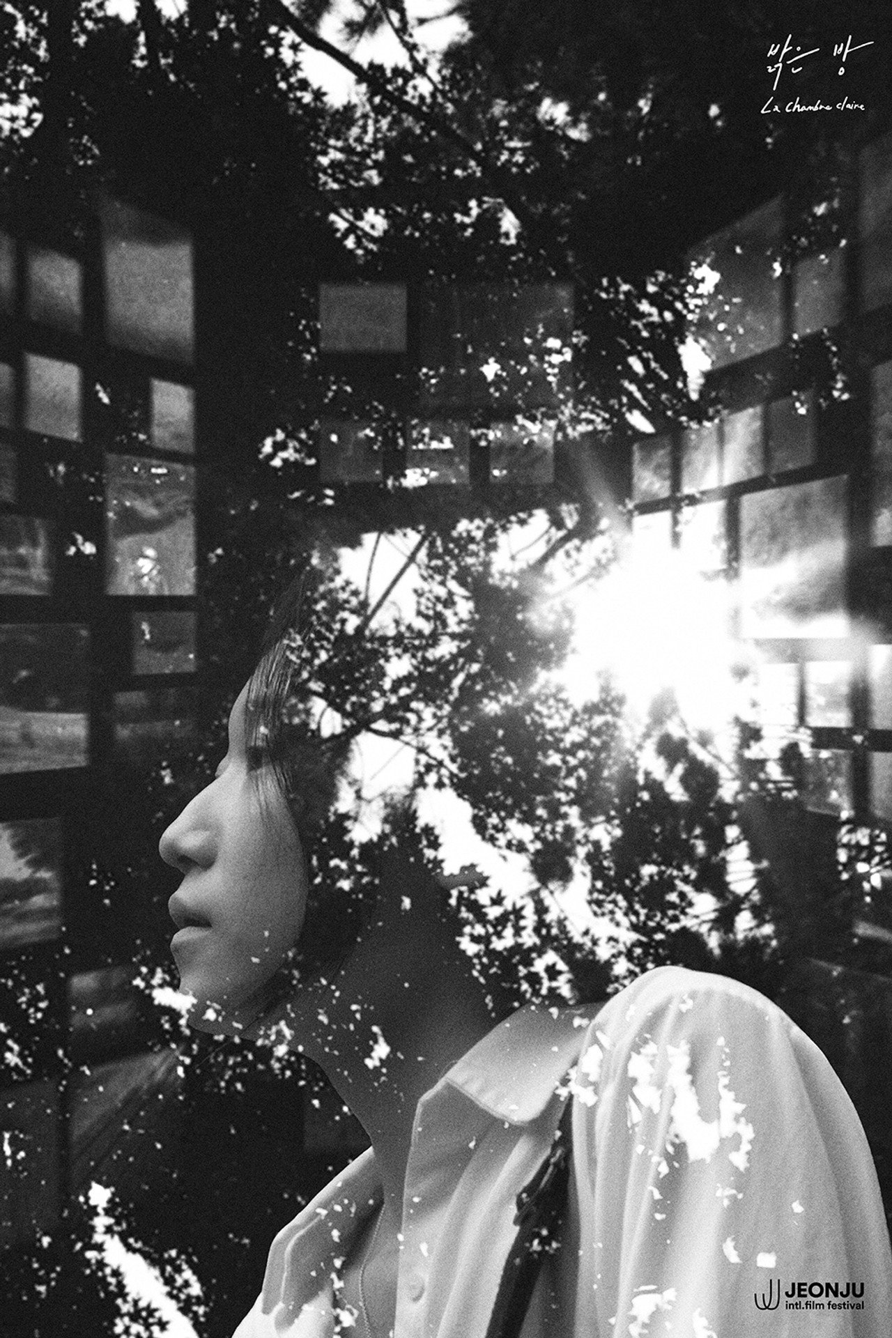 Chamber of Light Backdrop