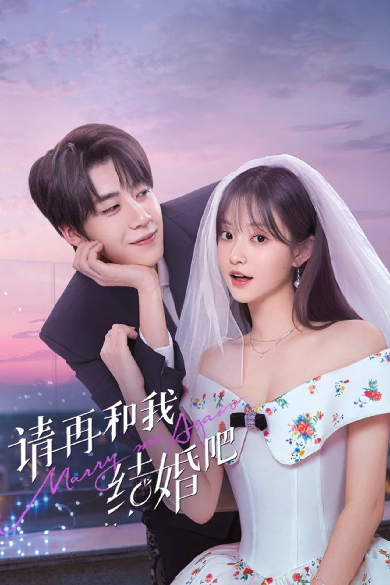 请再和我结婚吧 affisch