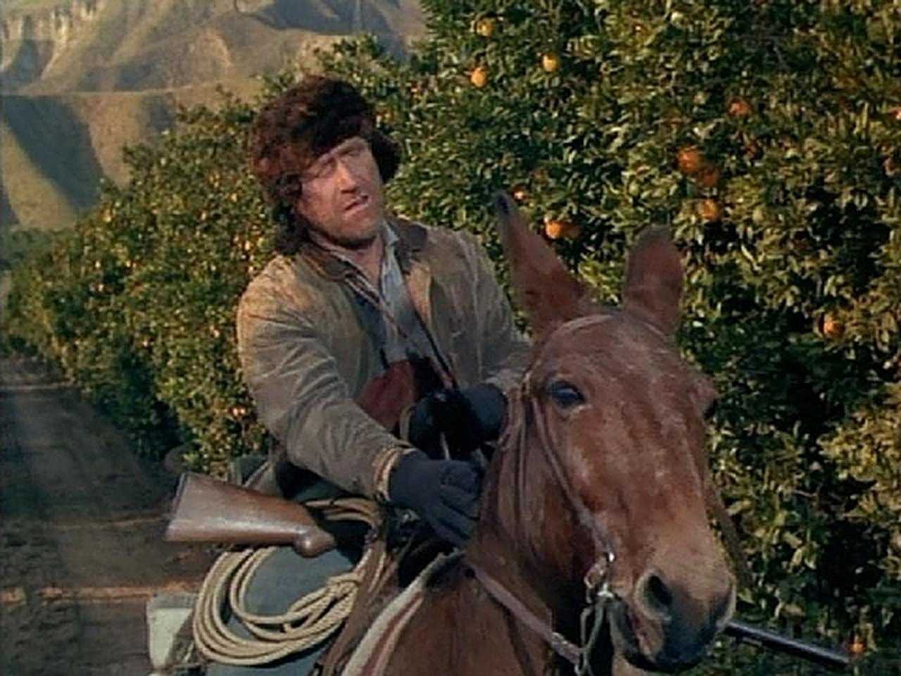 The Big Valley - Season 1 Episode 22 : The Death Merchant