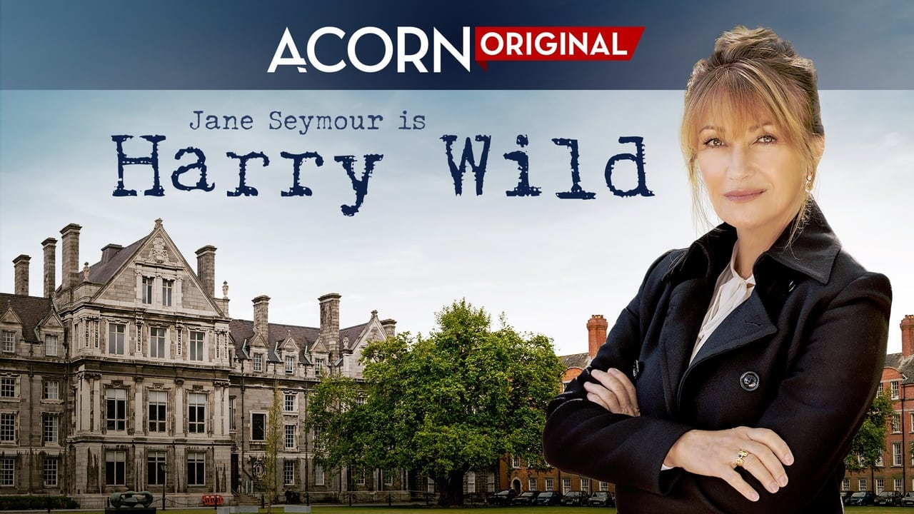 Harry Wild - La signora del delitto background