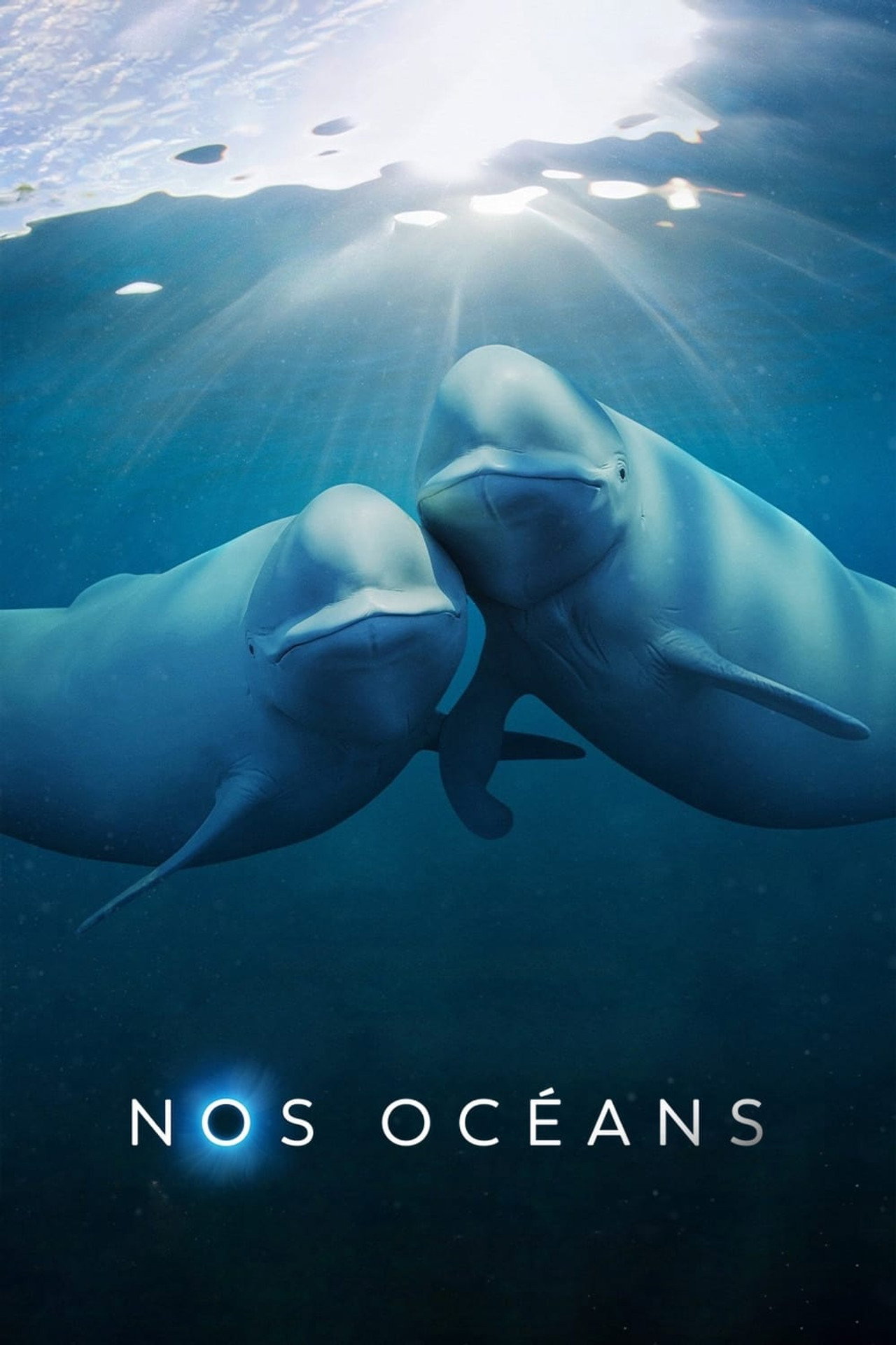 Our Oceans (2024) Hindi Season 1 Complete Netflix backdrop