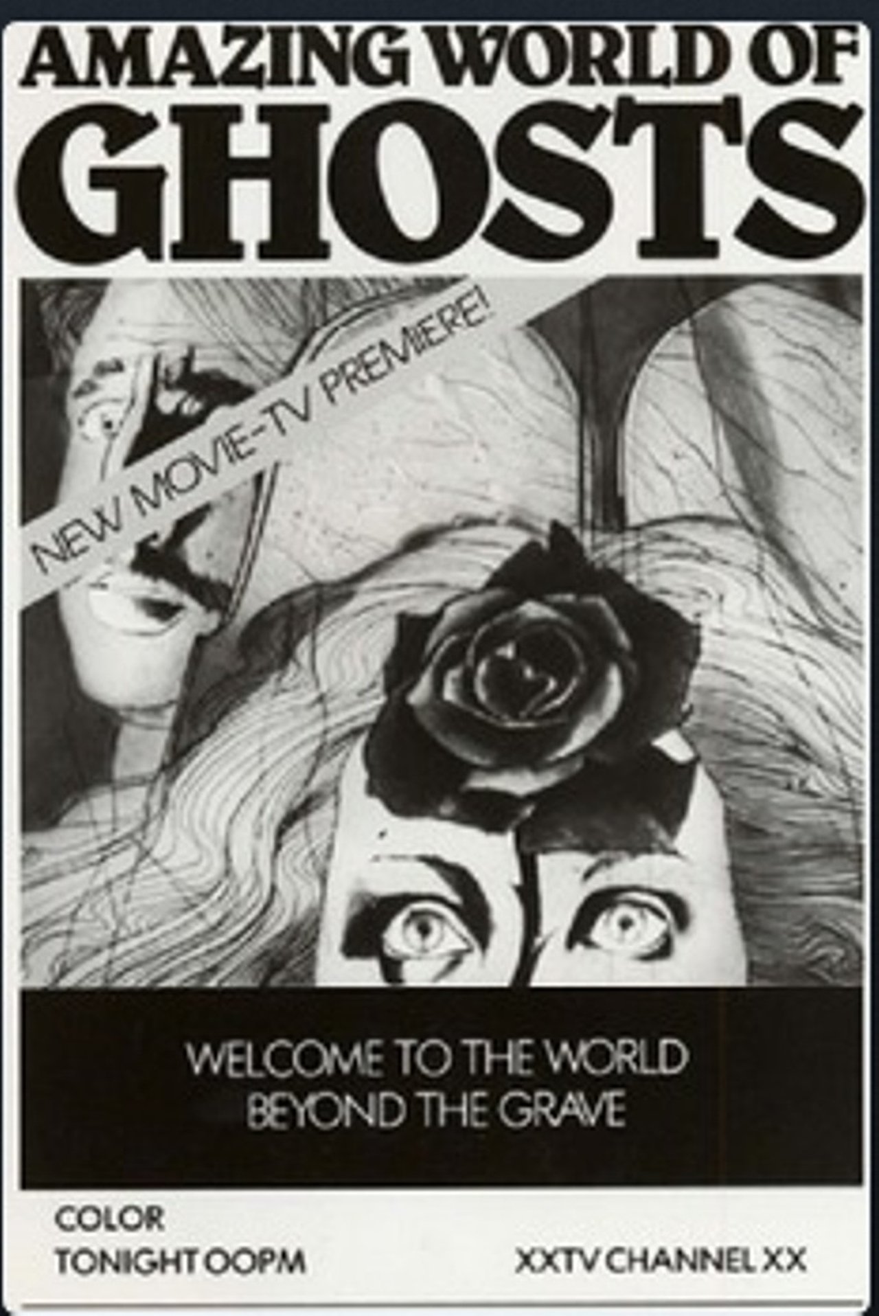 مشاهدة فيلم Amazing World of Ghosts مترجم بدون اعلانات - بوستر