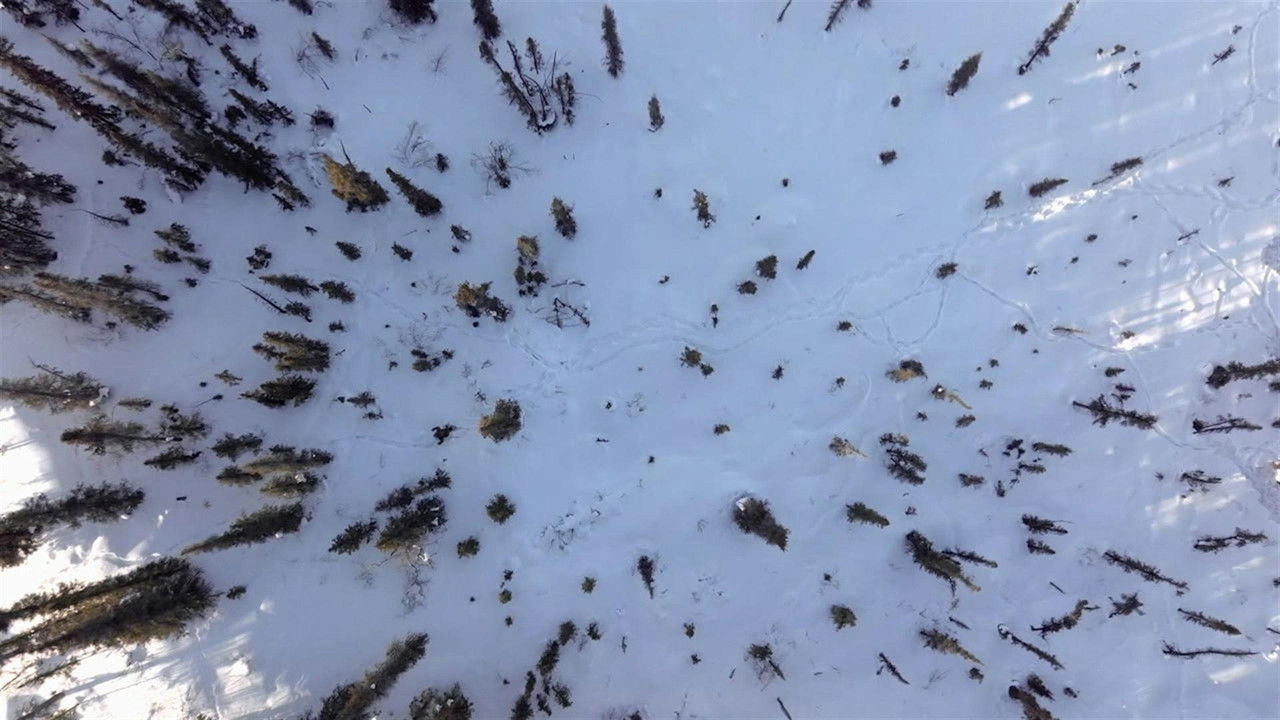 Life Below Zero: Next Generation — Épisode 1