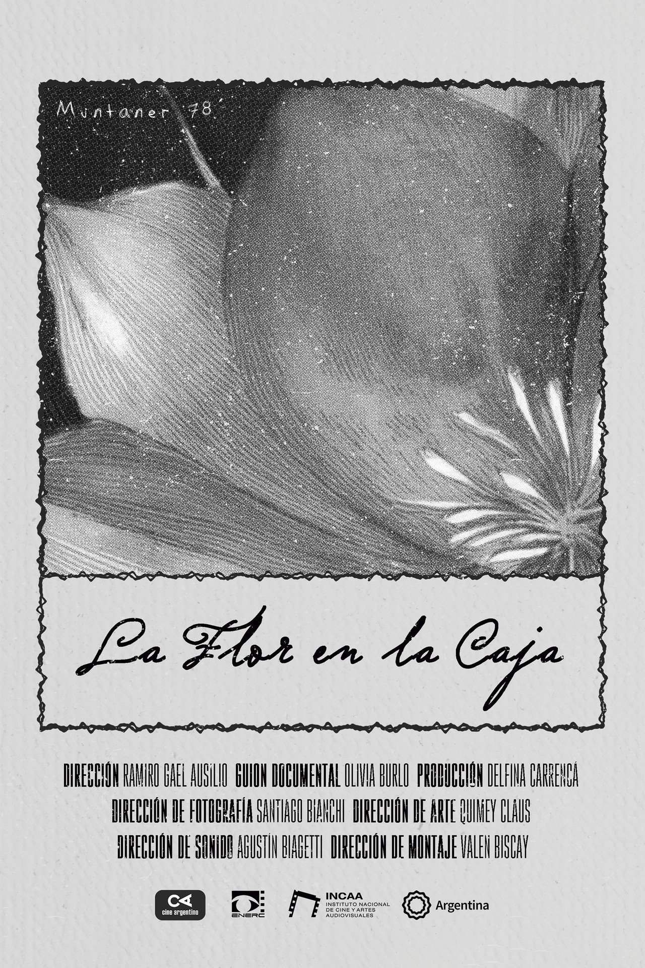 La Flor en la Caja filmaffisch