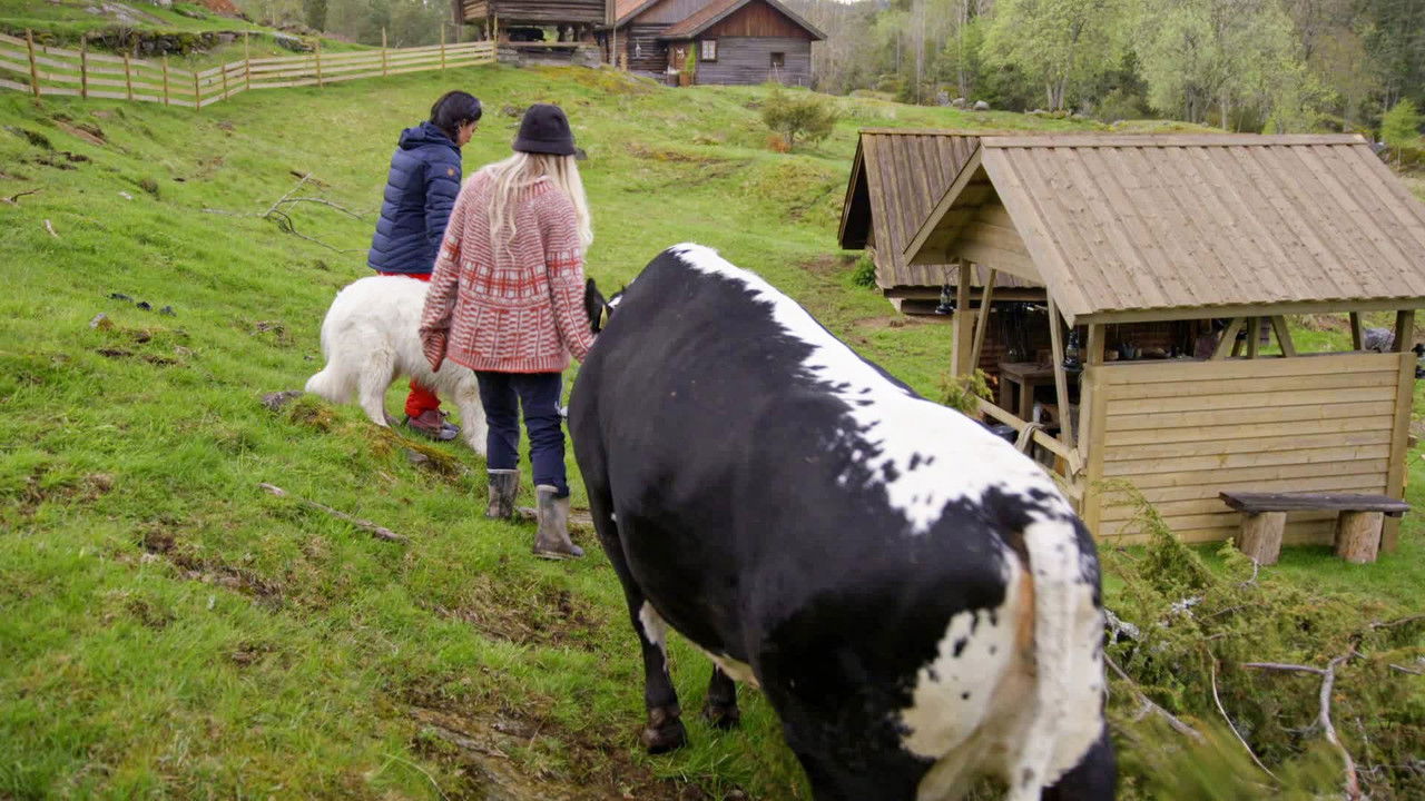 Farmen Kjendis — Épisode 5