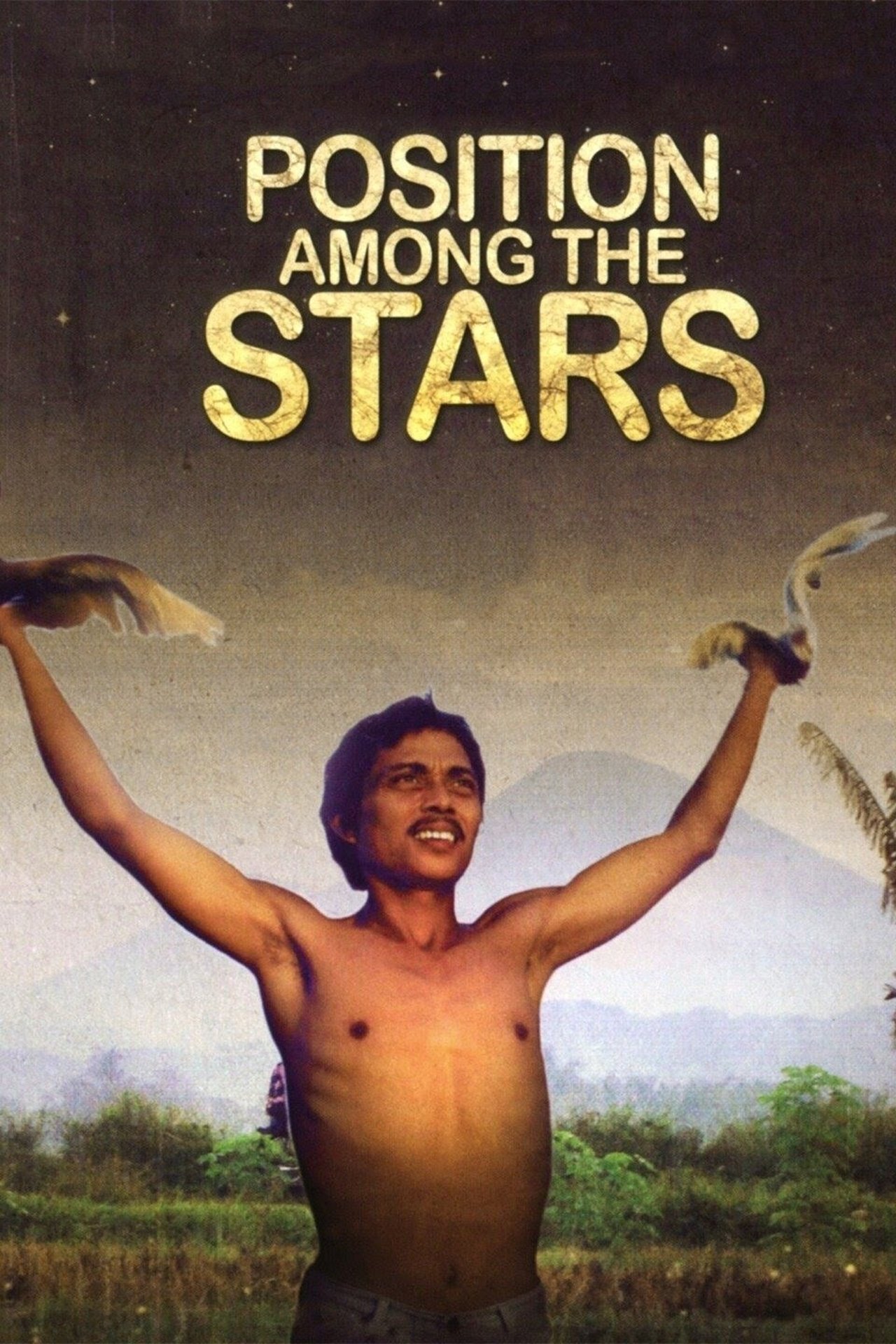 Position Among the Stars (2011)