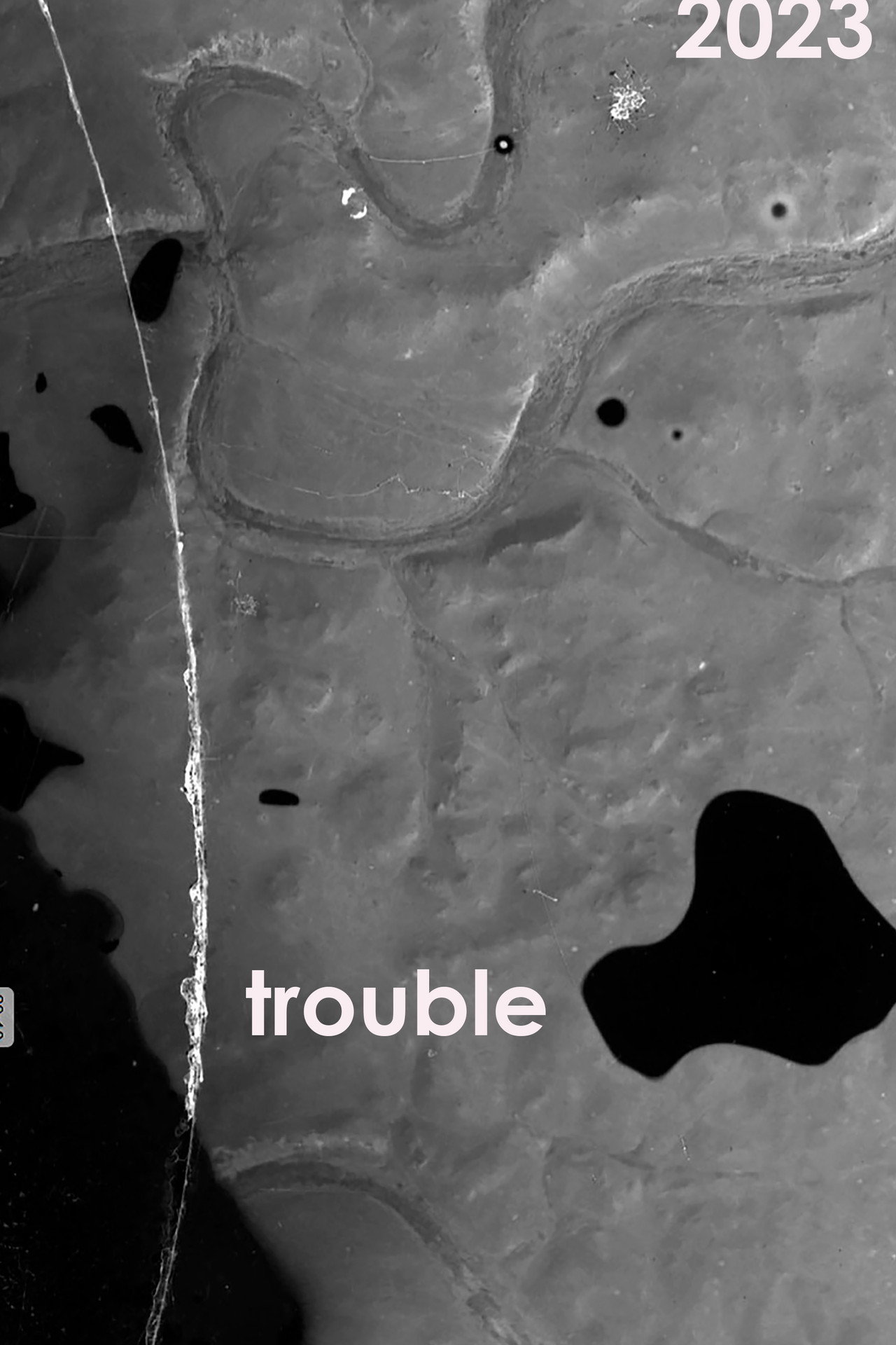 Trouble filmaffisch