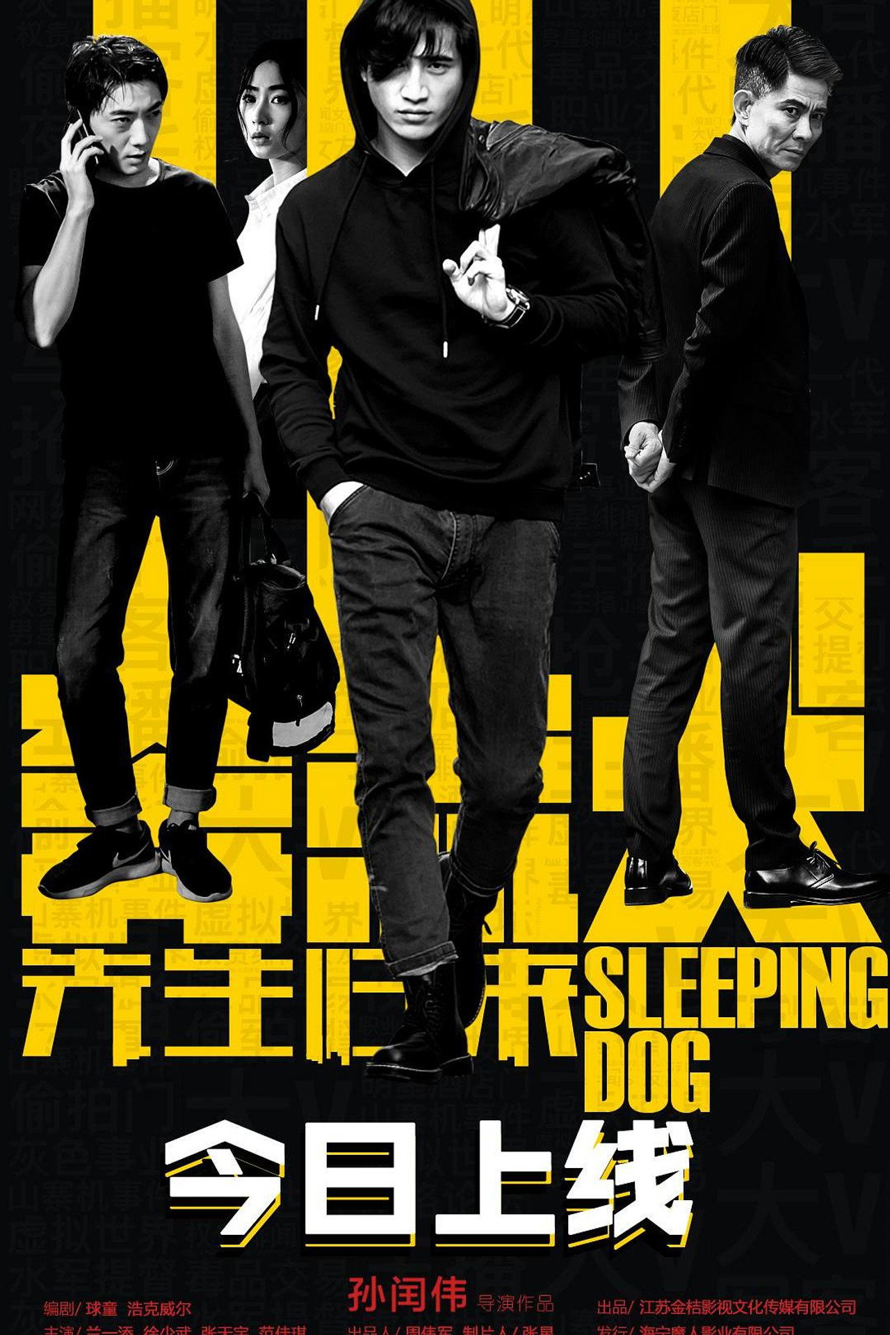 Sleeping Dog Backdrop