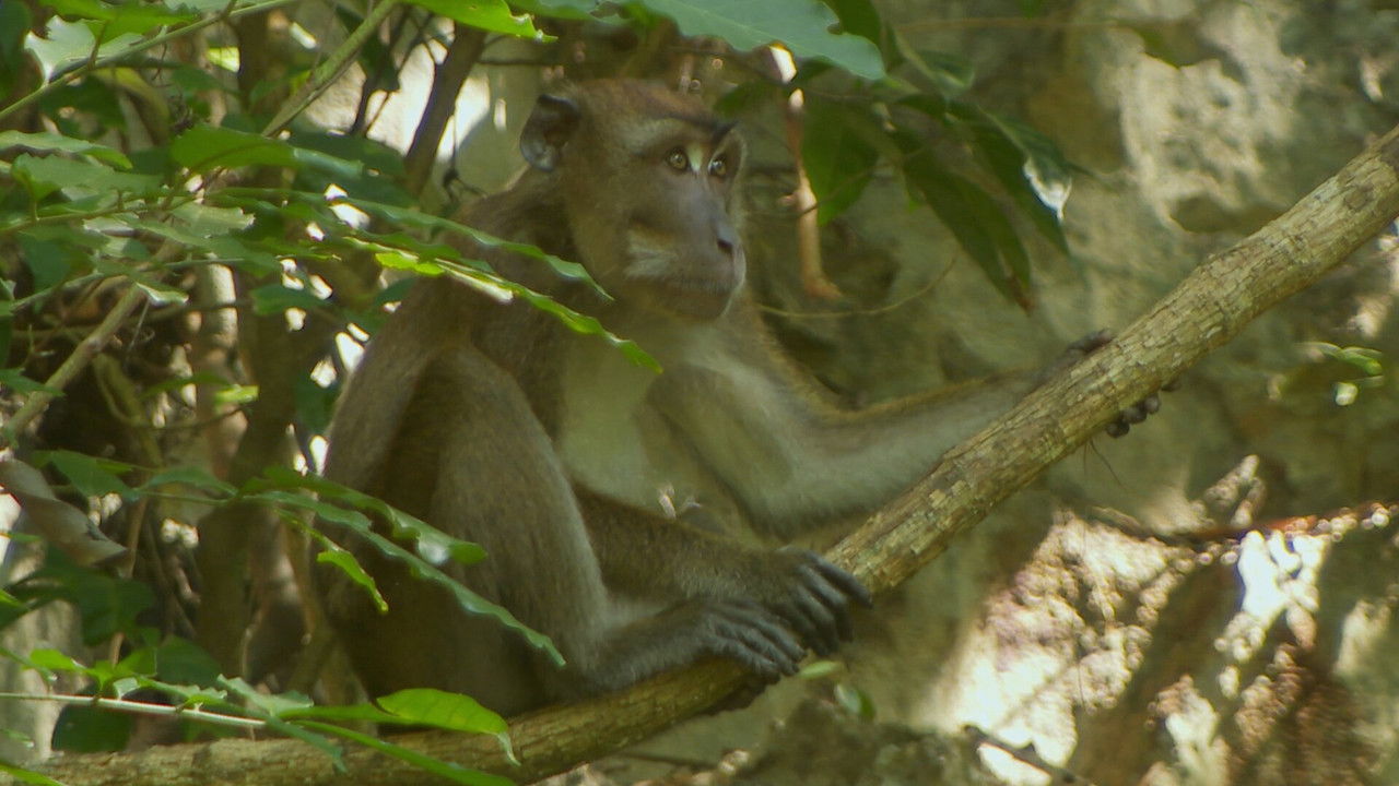 Robinson - Season 25 Episode 30 : Episode 30