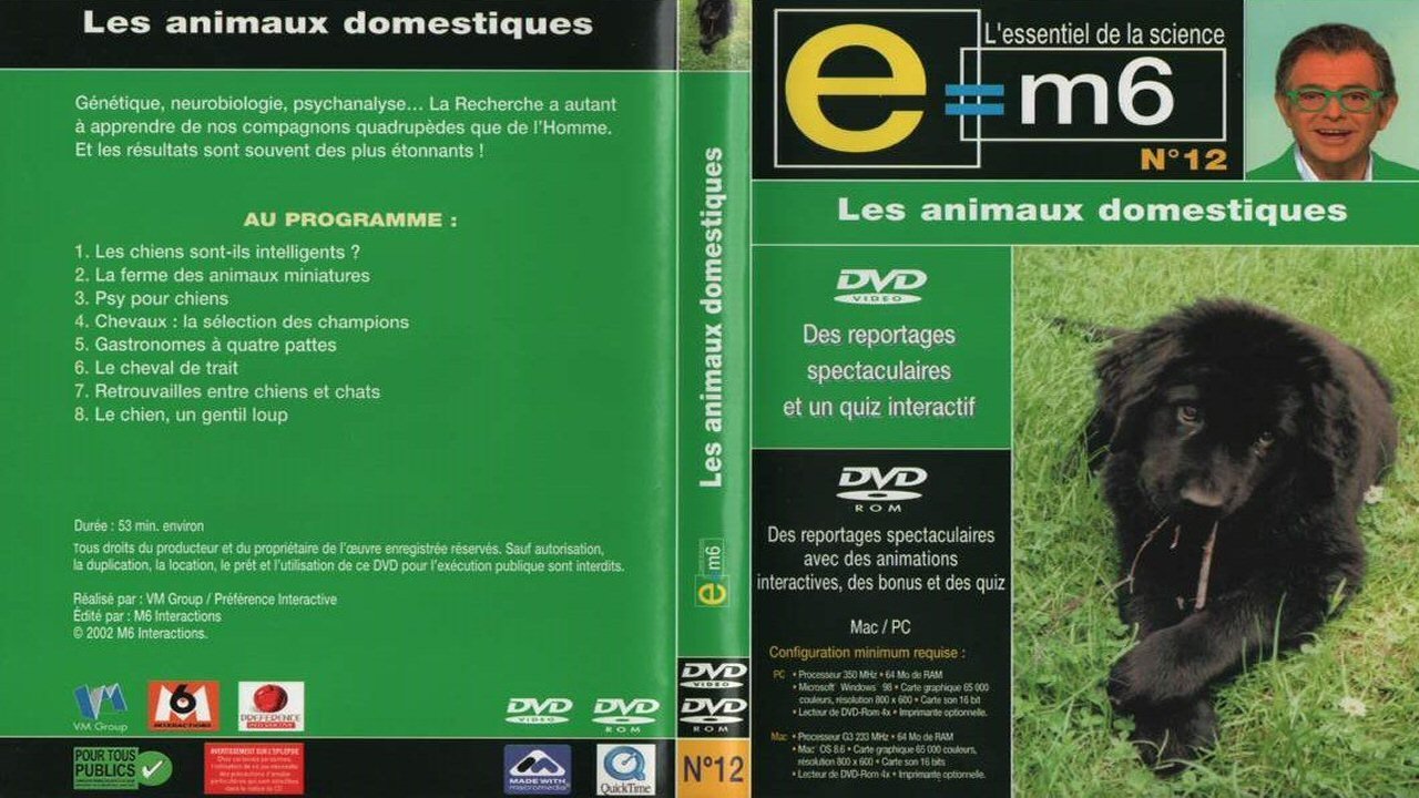 E=M6 - Season 0 Episode 12 : Episode 12