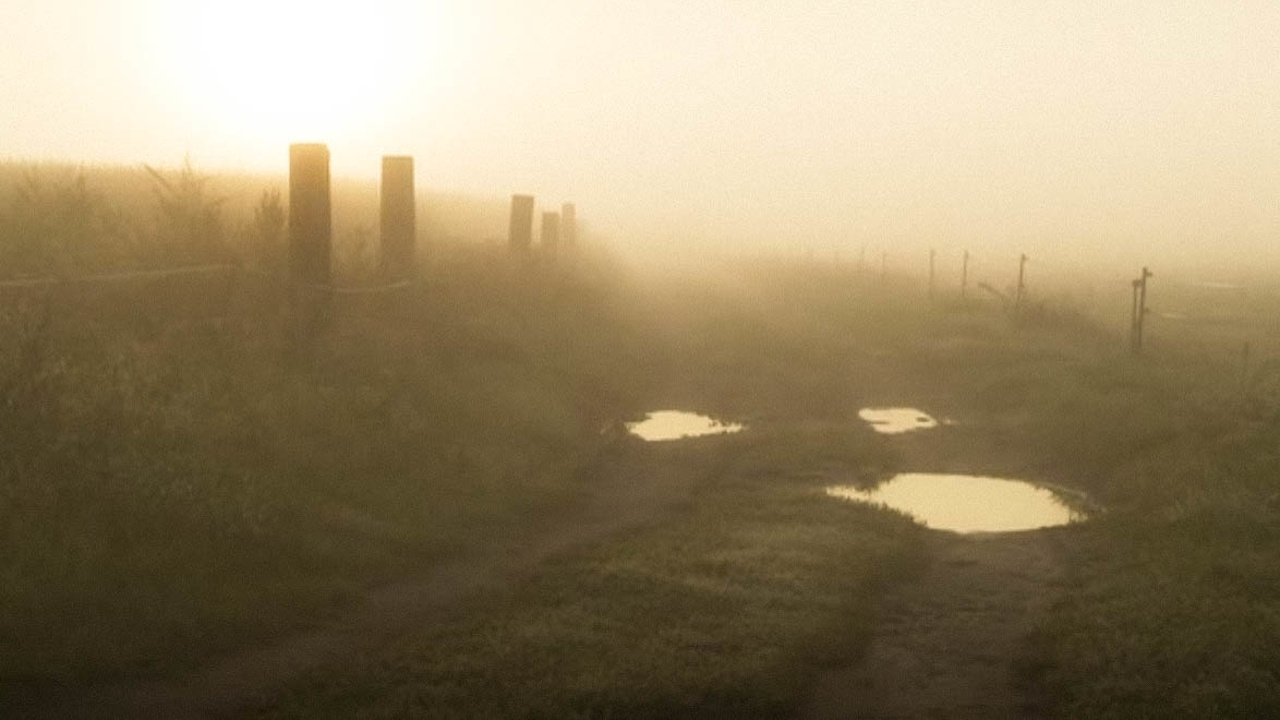 Harvest (2011)