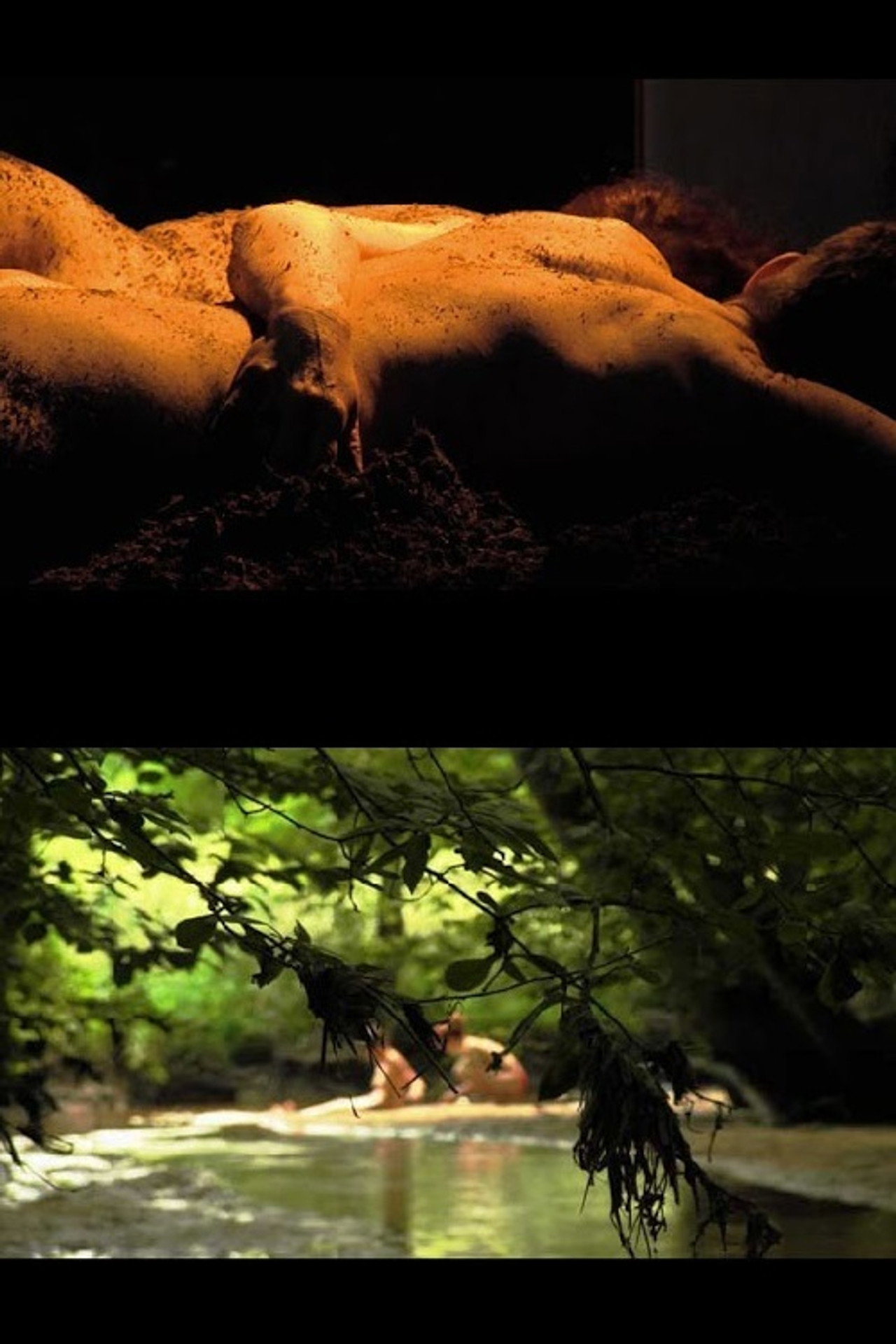 Ecosex, a User's Manual filmaffisch