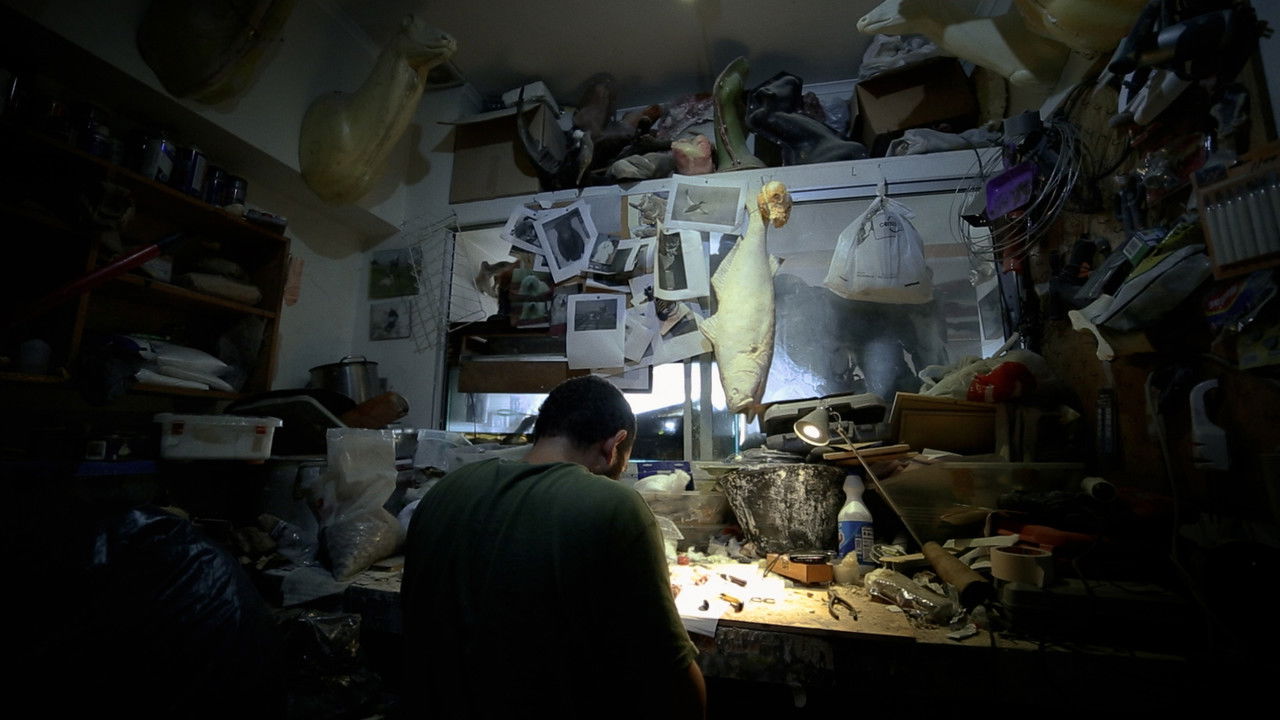 Still Stares backdrop