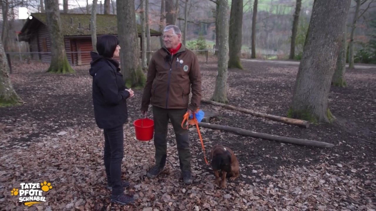 Tatze, Pfote, Schnabel - Season 3 Episode 13 : Episode 13