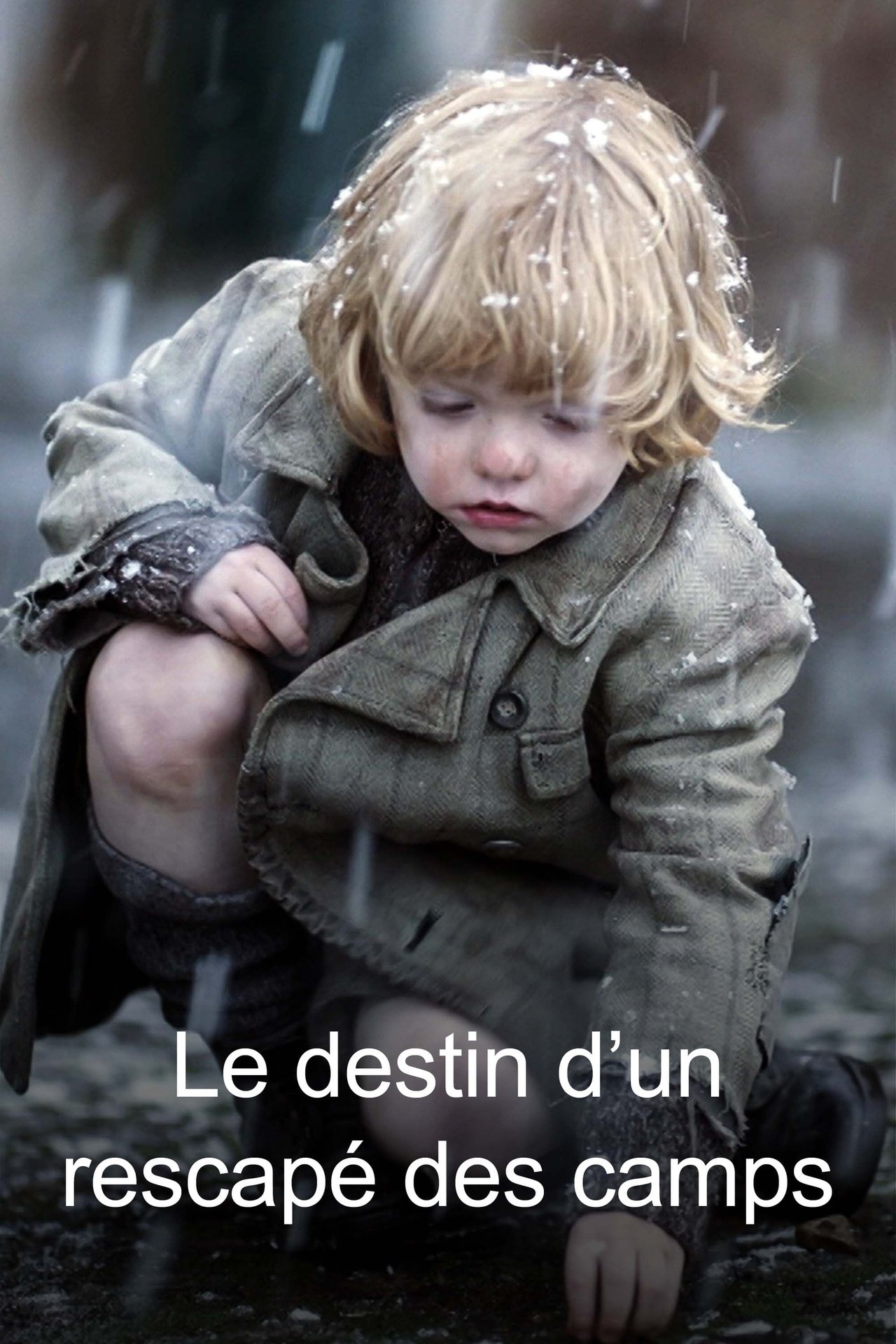 Le Destin d'un rescapé des camps poster