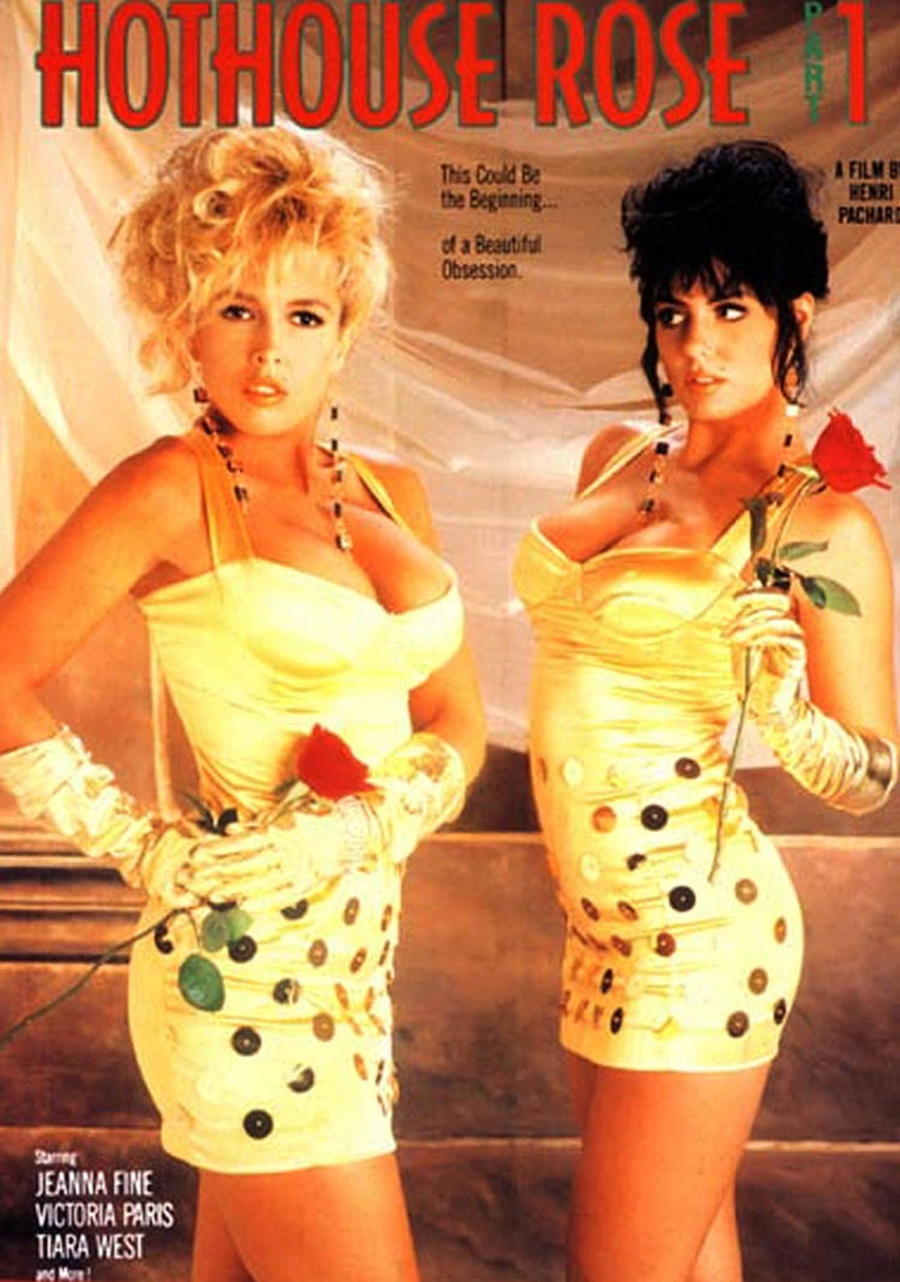 Hothouse Rose Backdrop