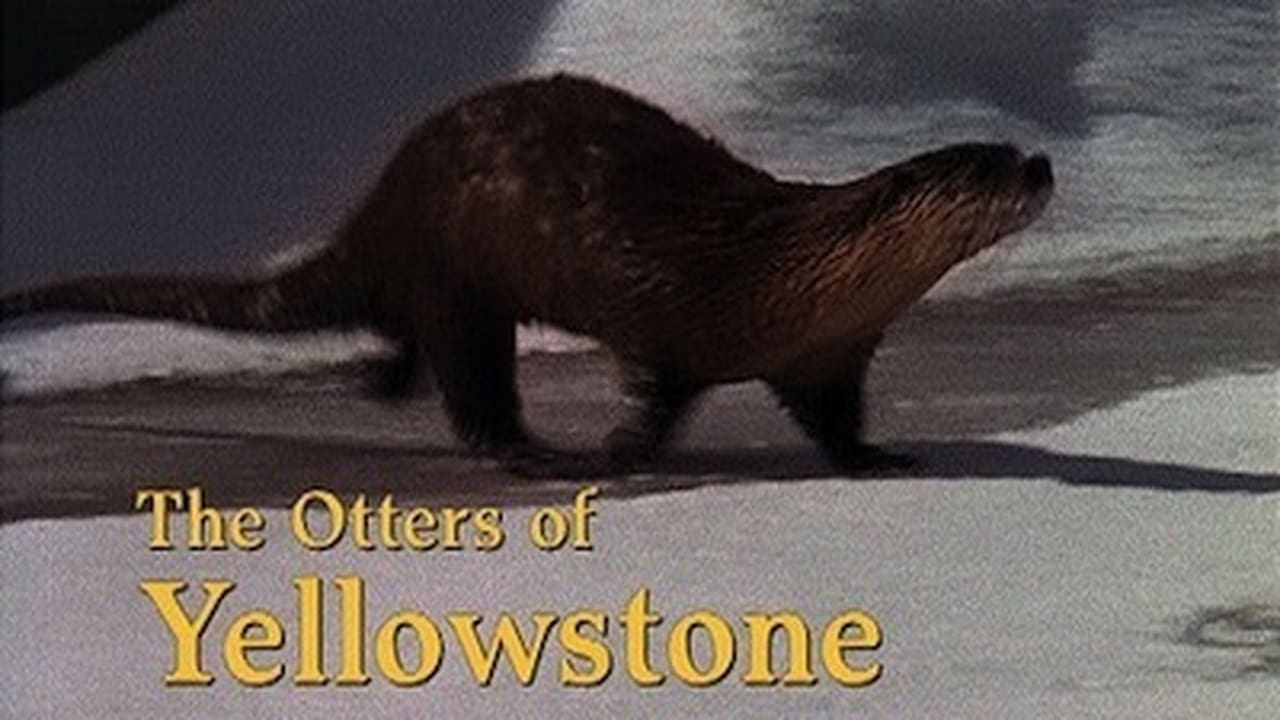 Natural World - Season 16 Episode 18 : The Otters of Yellowstone