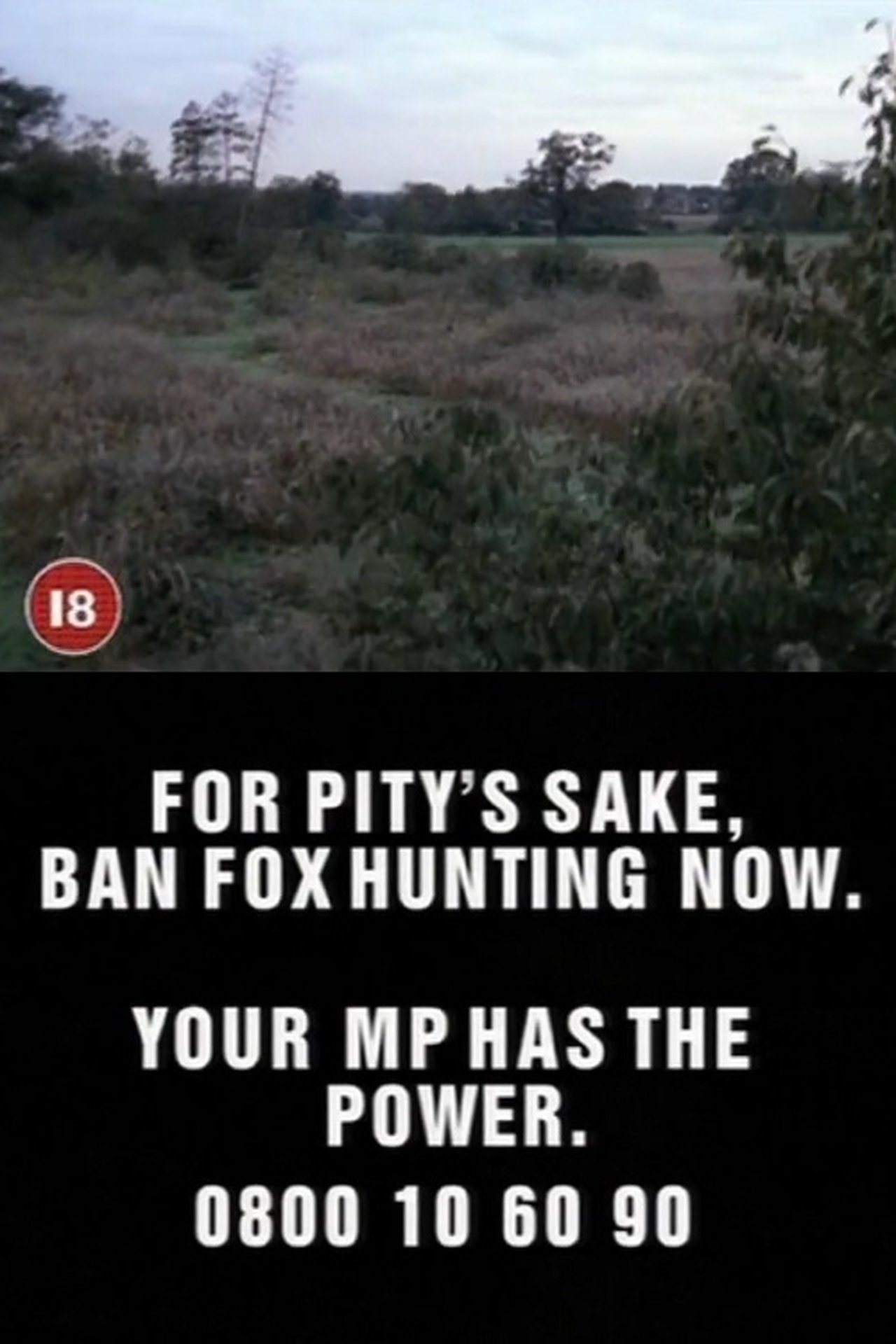 The Chase 1997
