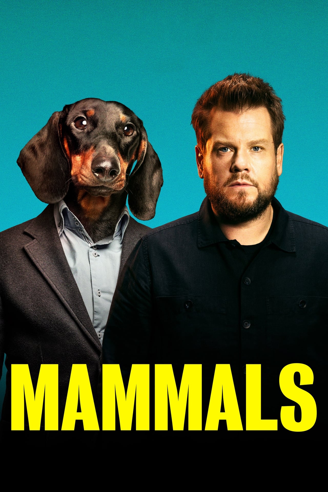 Mammals (2022) Hindi Season 1 Complete backdrop