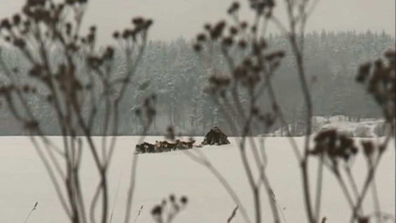 Богатство — Épisode 9