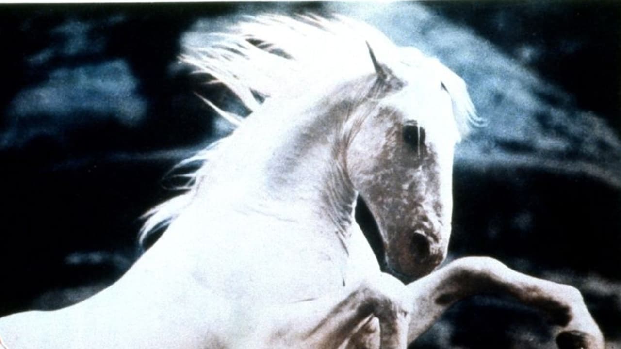 Silver Stallion background