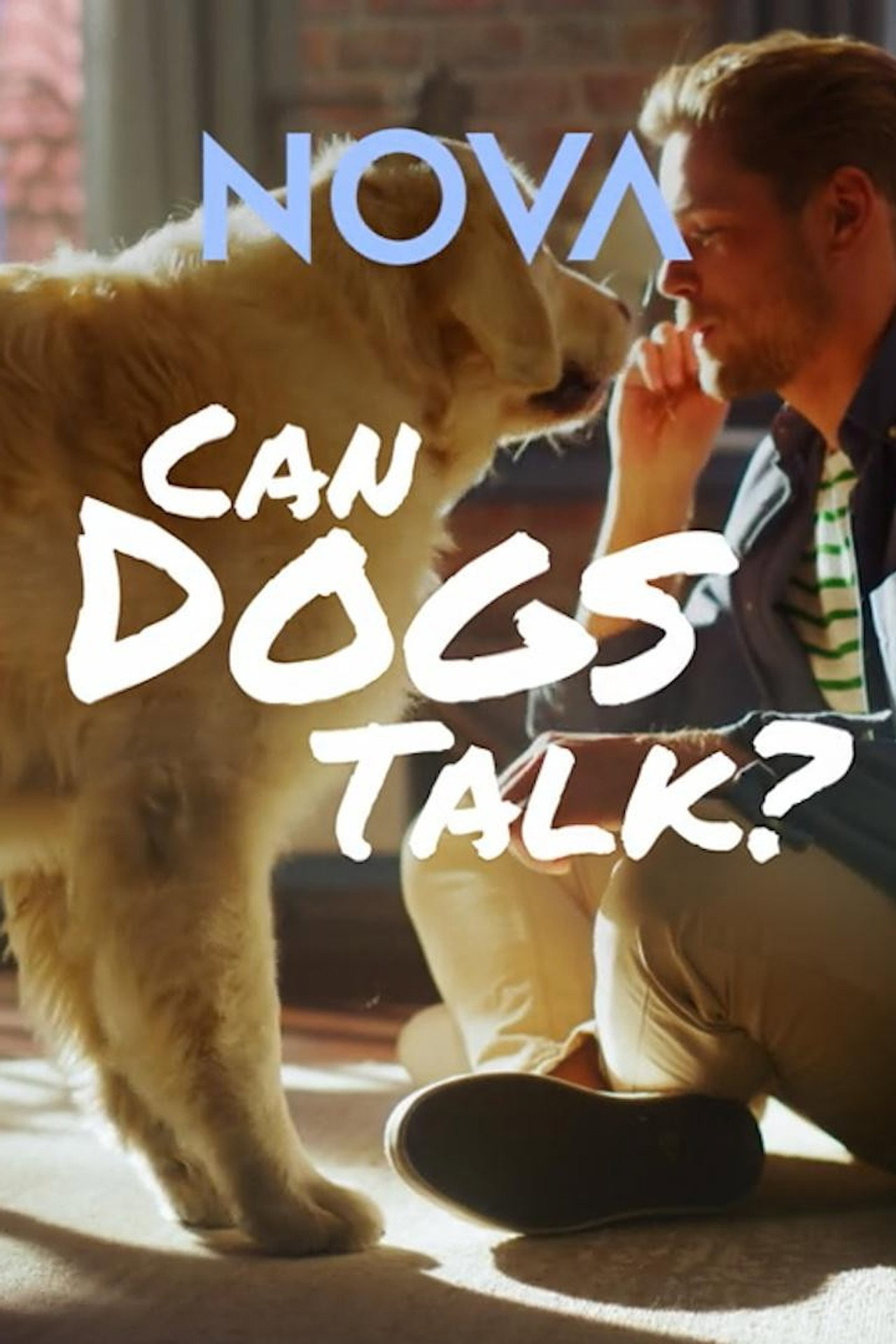 Can Dogs Talk? filmaffisch