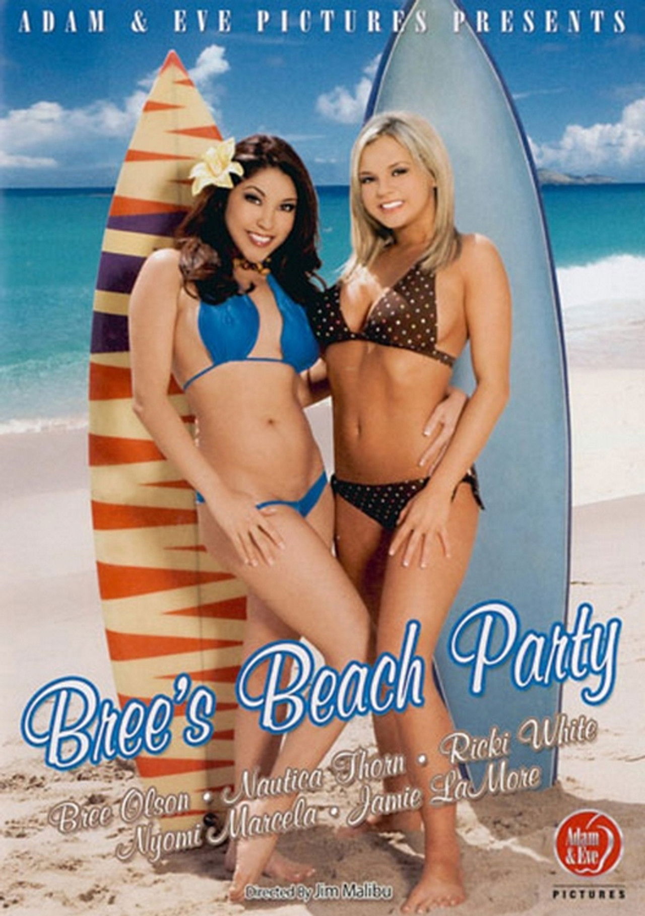 Bree's Beach Party Backdrop