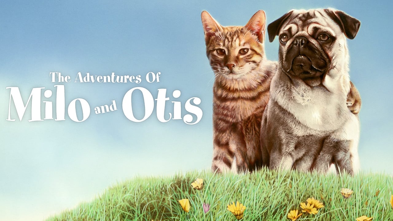 The Adventures of Milo and Otis background