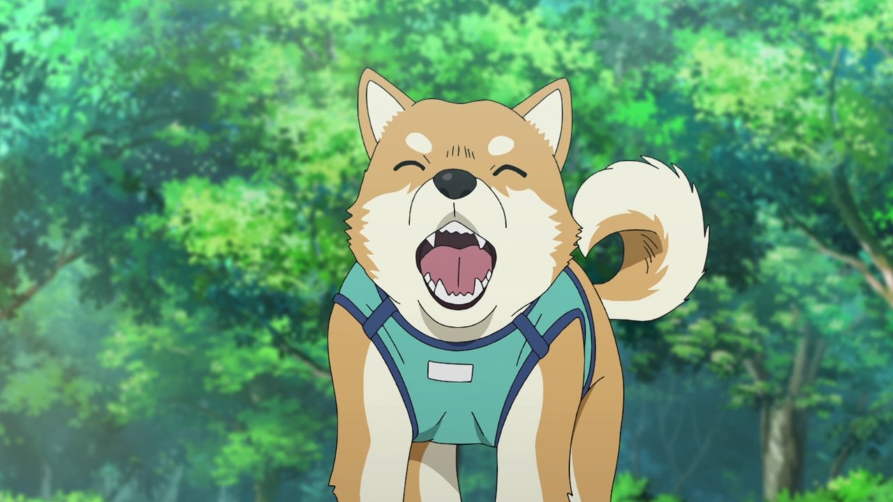 Case Closed - Season 1 Episode 1081 : My Beloved Dog Pan-kun Is a Good Boy