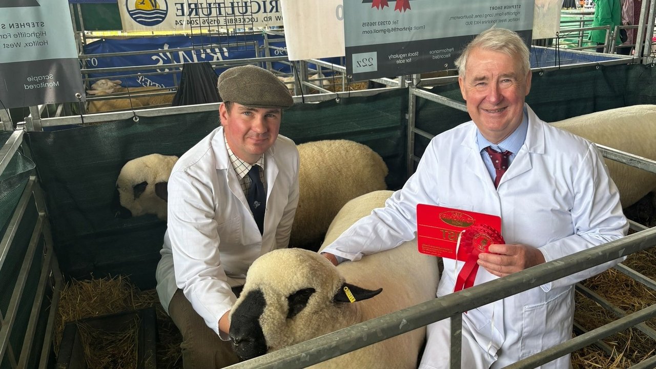 The Yorkshire Vet - Season 20 Episode 11 : The Great Yorkshire Show