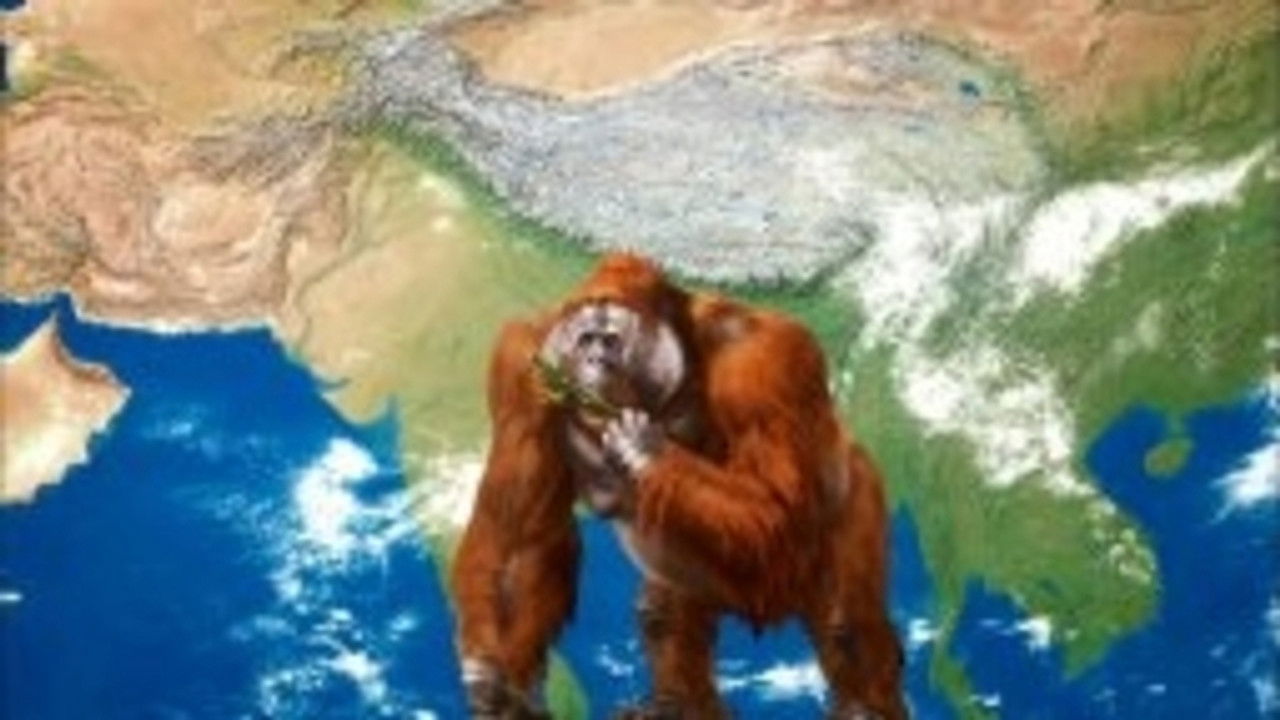 Scooby-Doo: Le Guide du Froussard — Le yéti