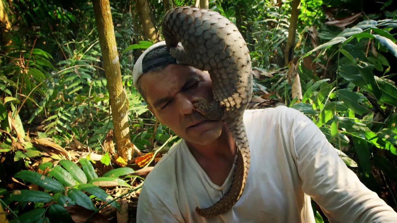 Wild Frank — Épisode 5