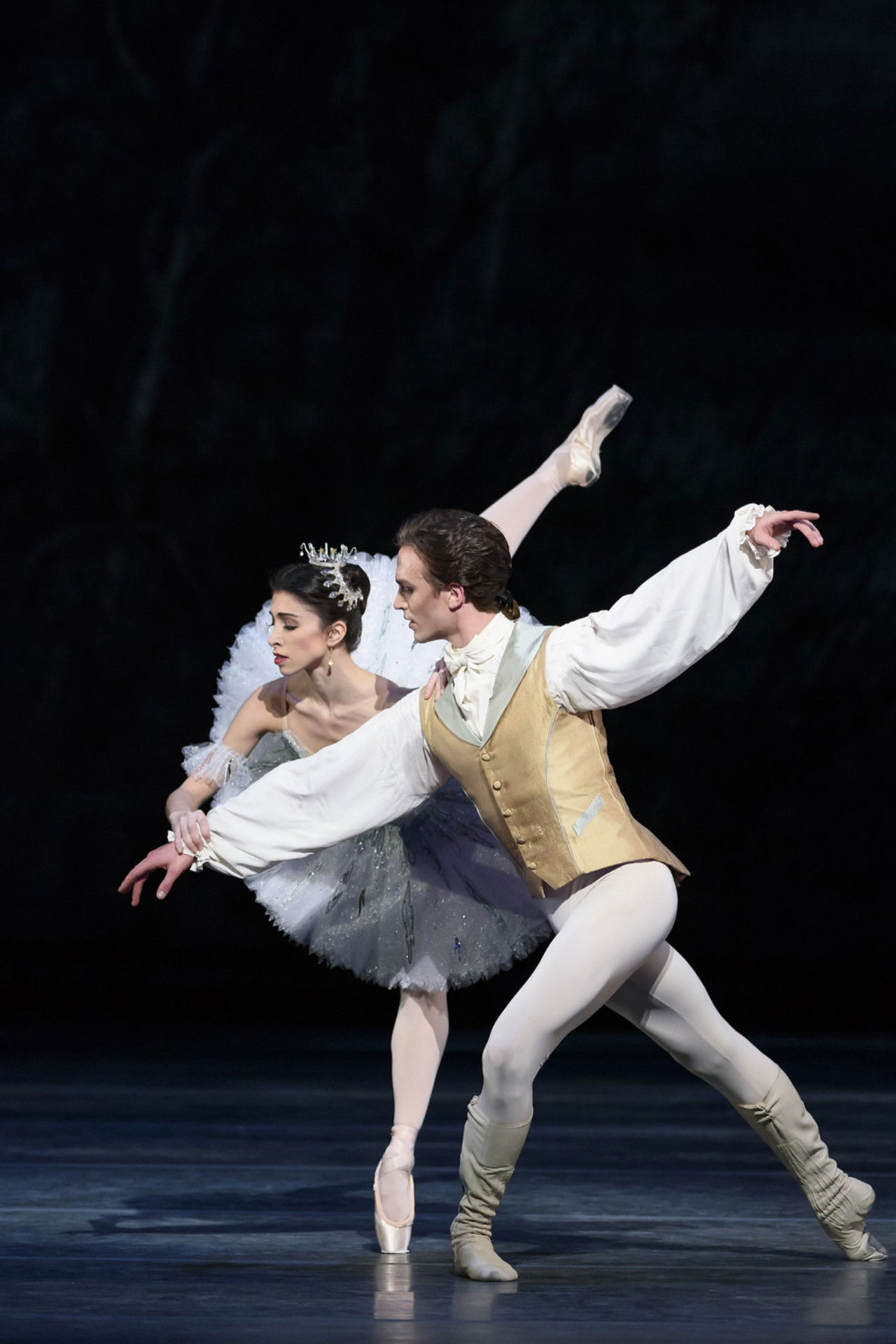 Royal Opera House's The Sleeping Beauty Backdrop