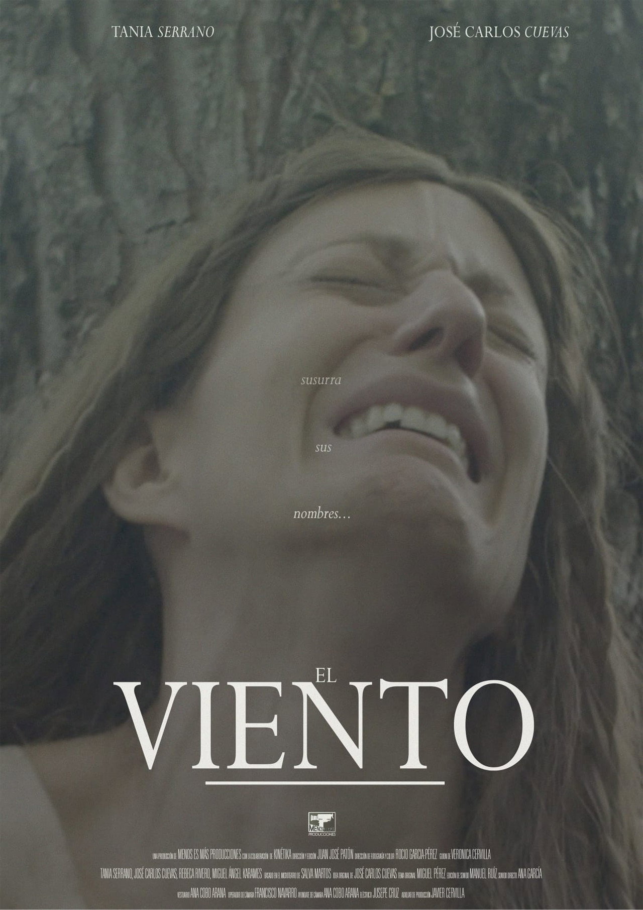 El viento filmaffisch