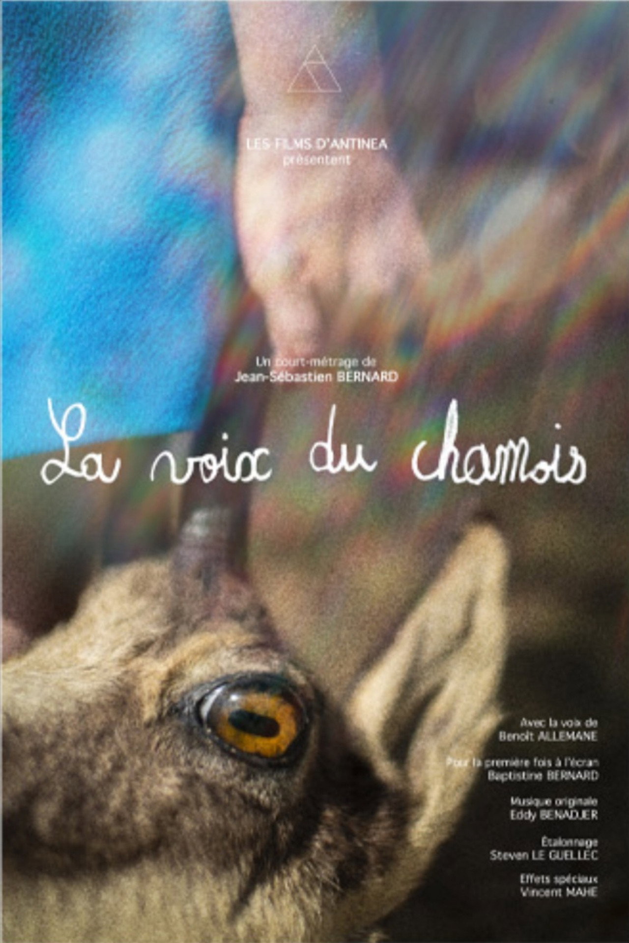 The Chamois'Cry Backdrop