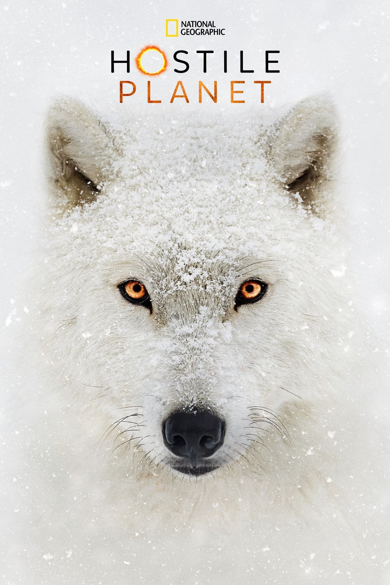 Poster Hostile Planet