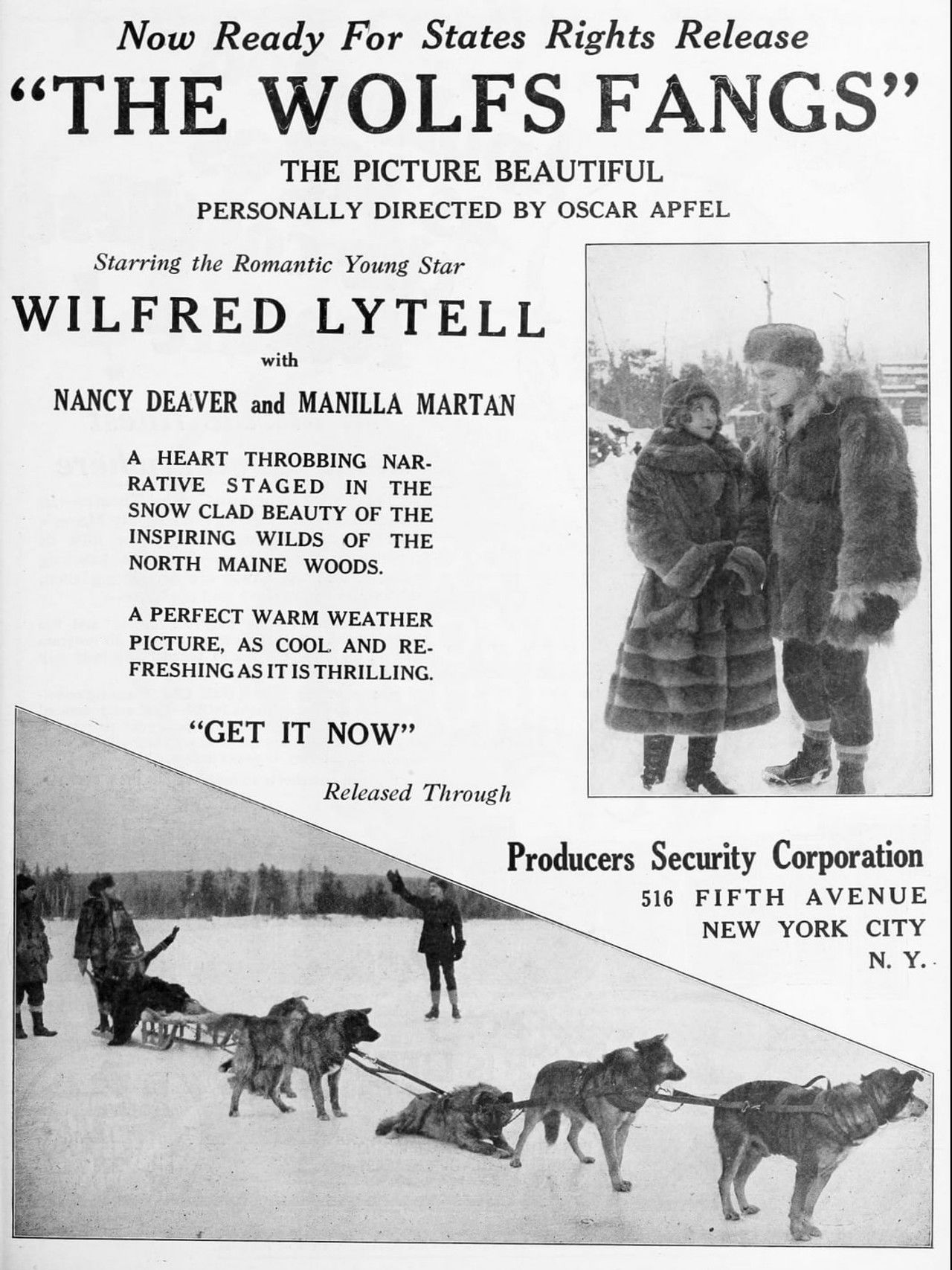 The Wolf's Fangs Backdrop