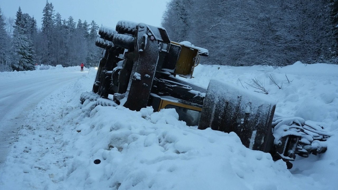 Winter’s Payback