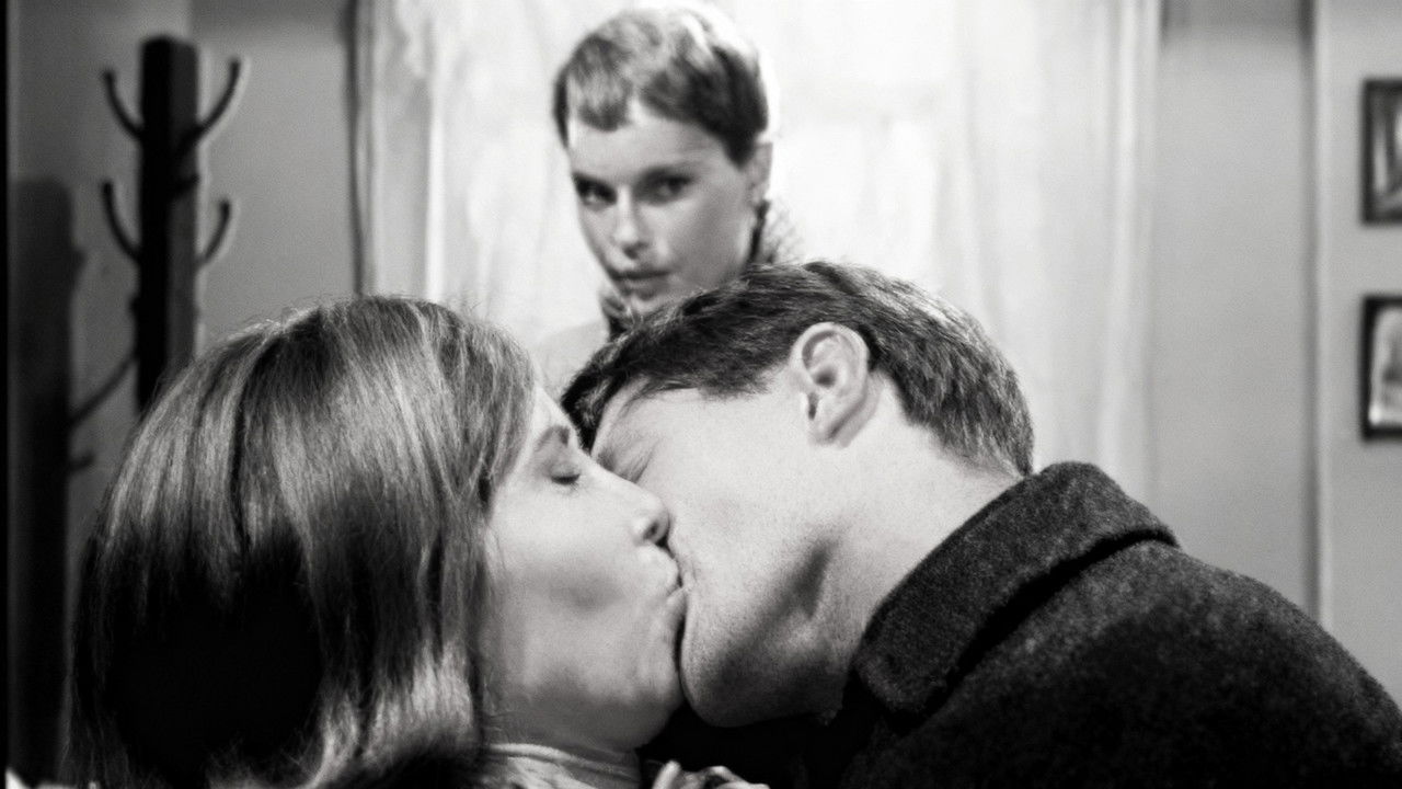 Peyton Place — Épisode 74