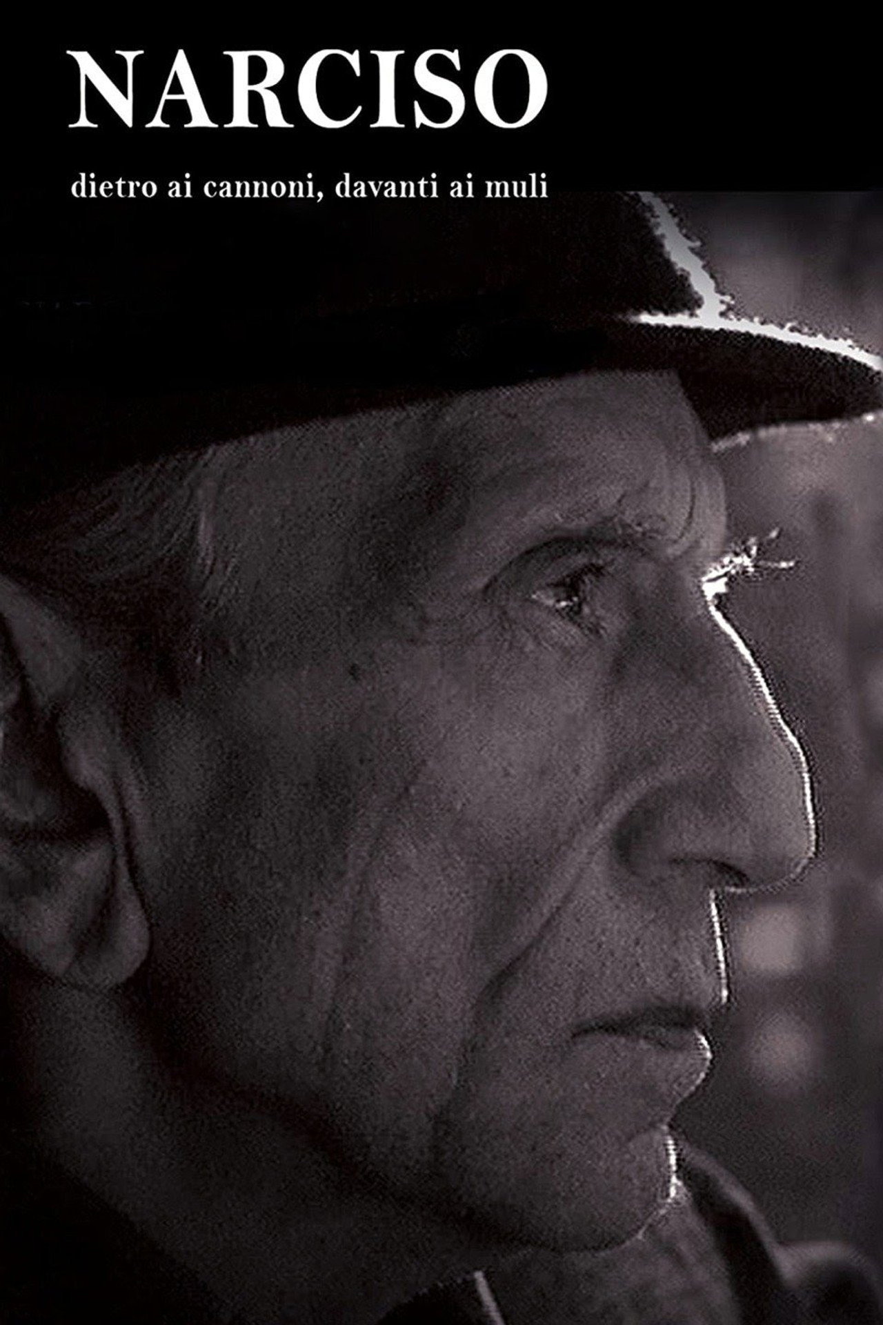 Narciso - Dietro ai cannoni, davanti ai muli filmaffisch