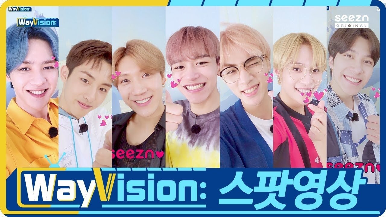 Backdrop for WayVision