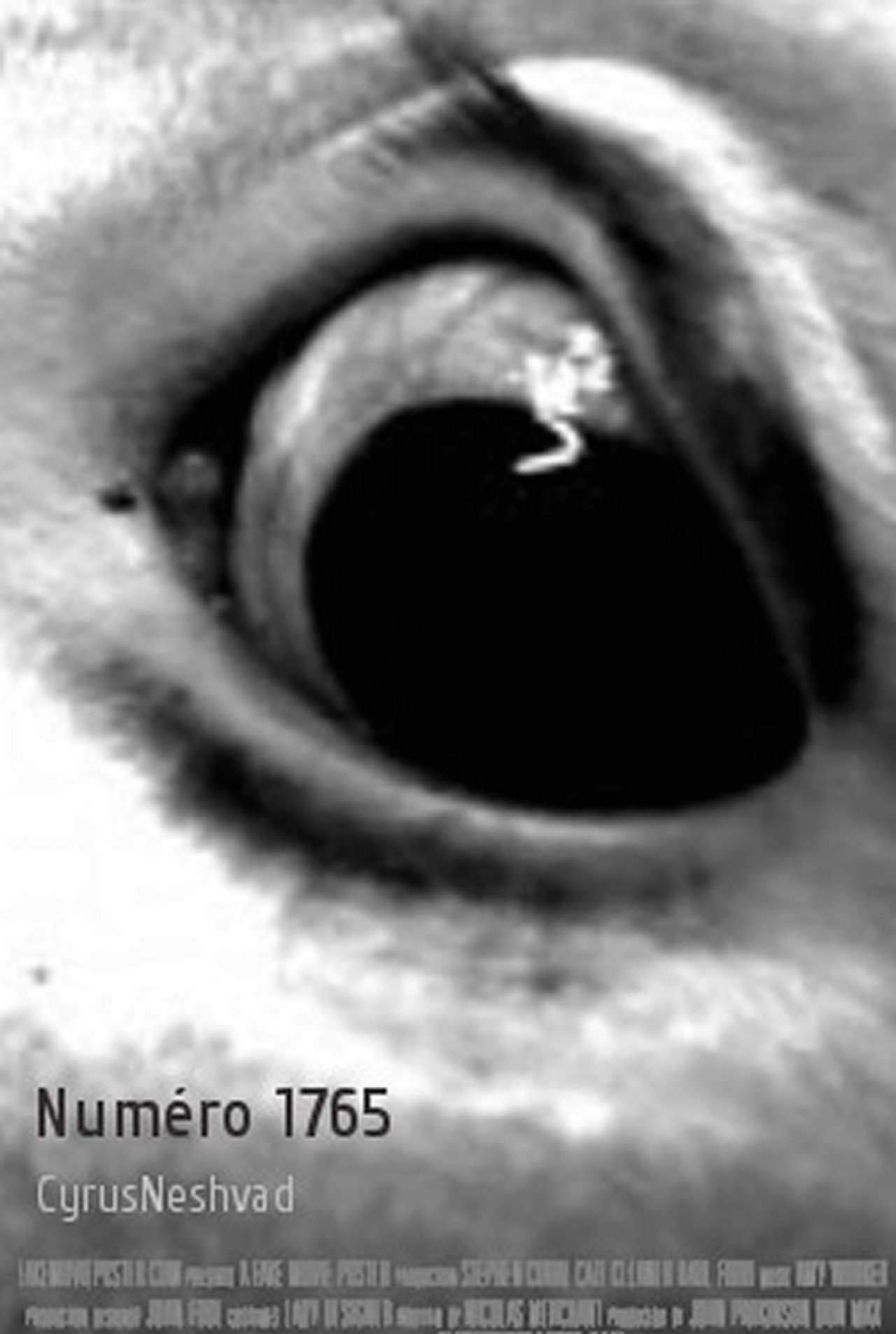 Numéro 1765 filmaffisch