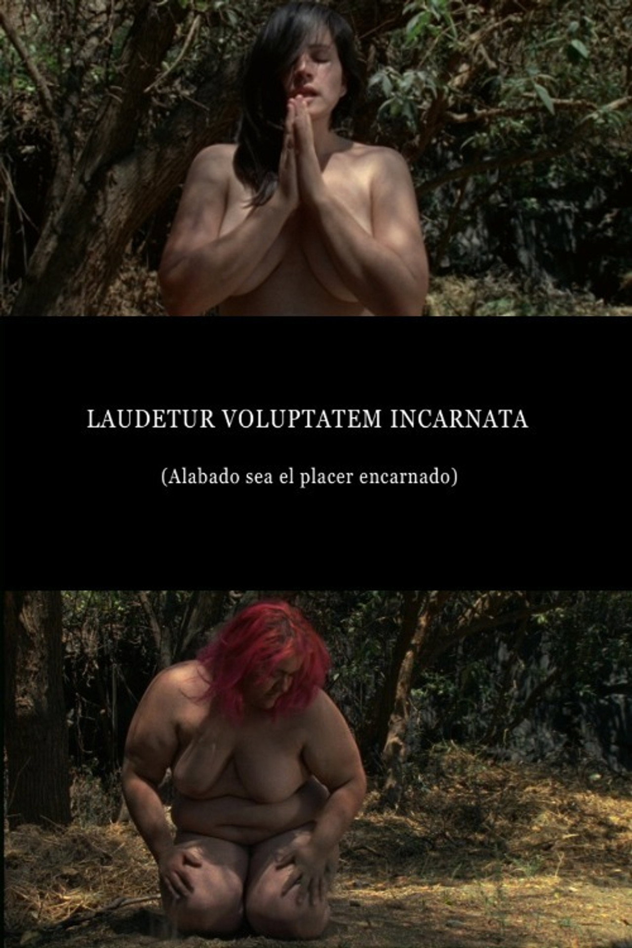 Laudetur Voluptatem Incarnata poster