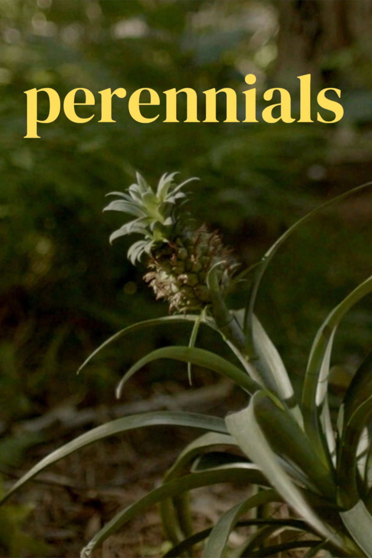 perennials Backdrop