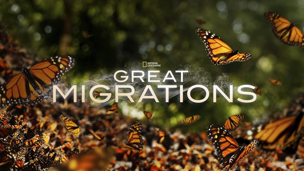 Les grandes migrations background