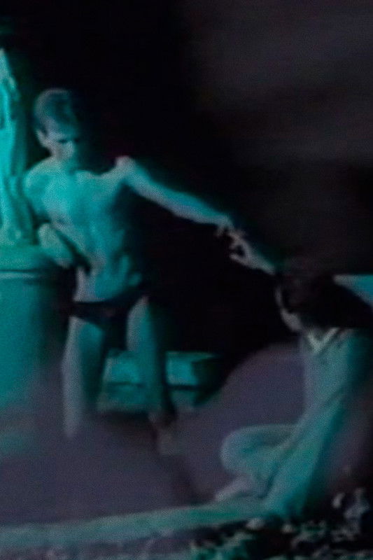 Réminiscences carnivores 1989