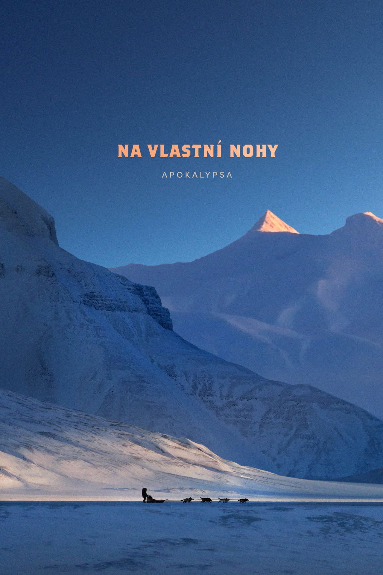 Na vlastní nohy poster